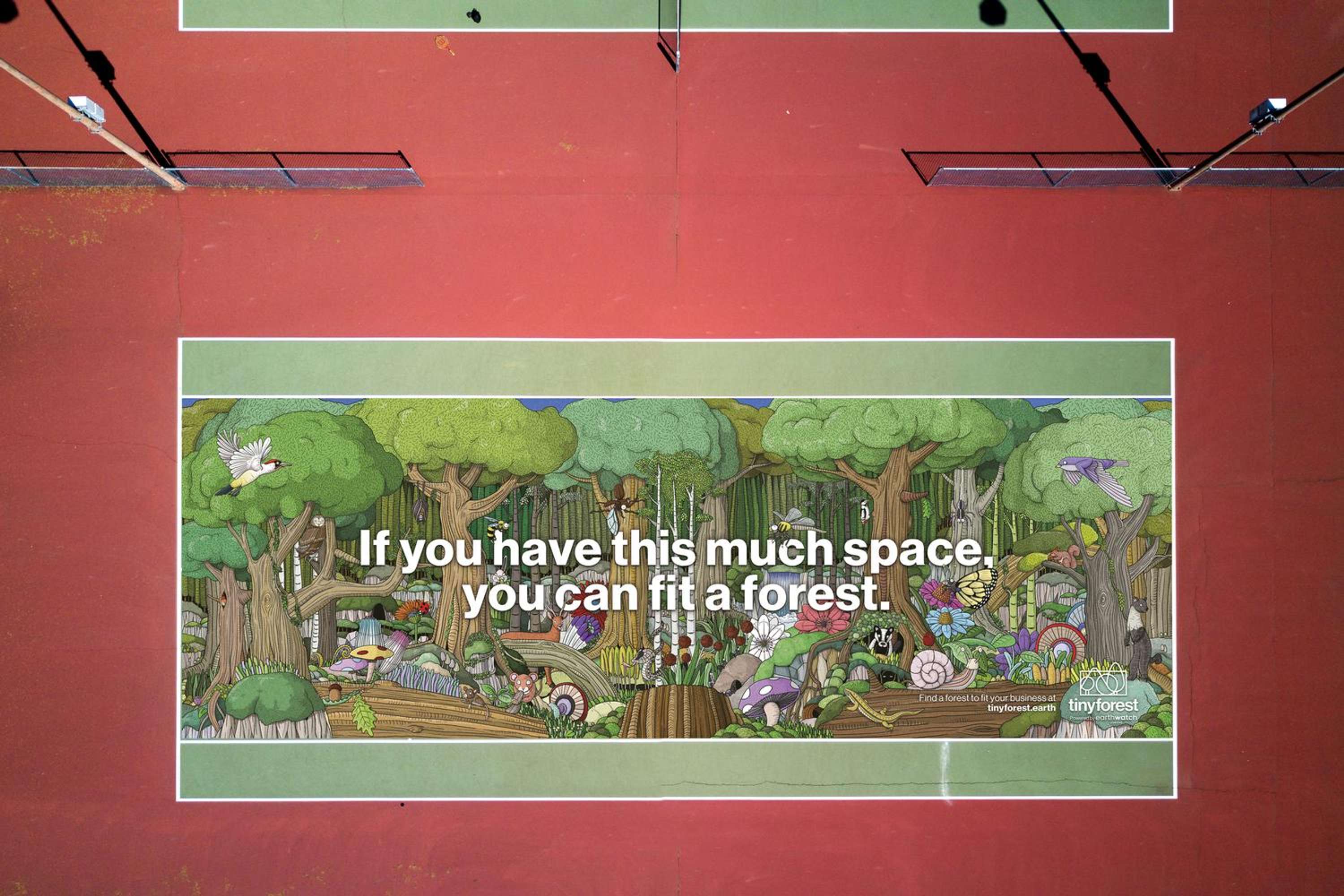 Tiny Forests by Helena Smith