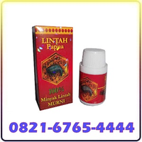 Alamat Minyak Lintah Papua Asli Di Palembang 082I 6765 4444 COD logo