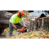 Harford County Tree Removal Service logo