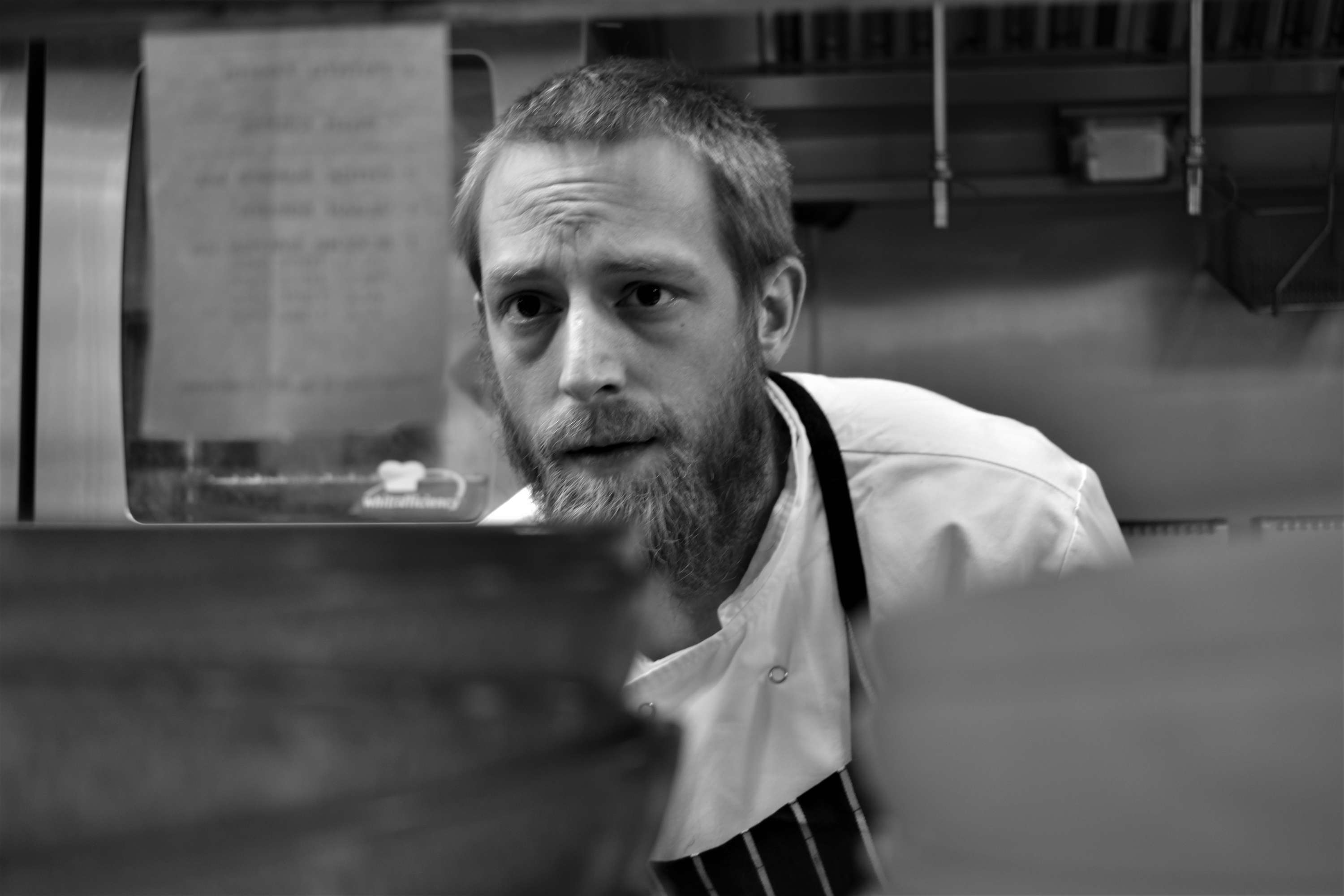 Essay - Chef's Arse by Carolina Stelzer