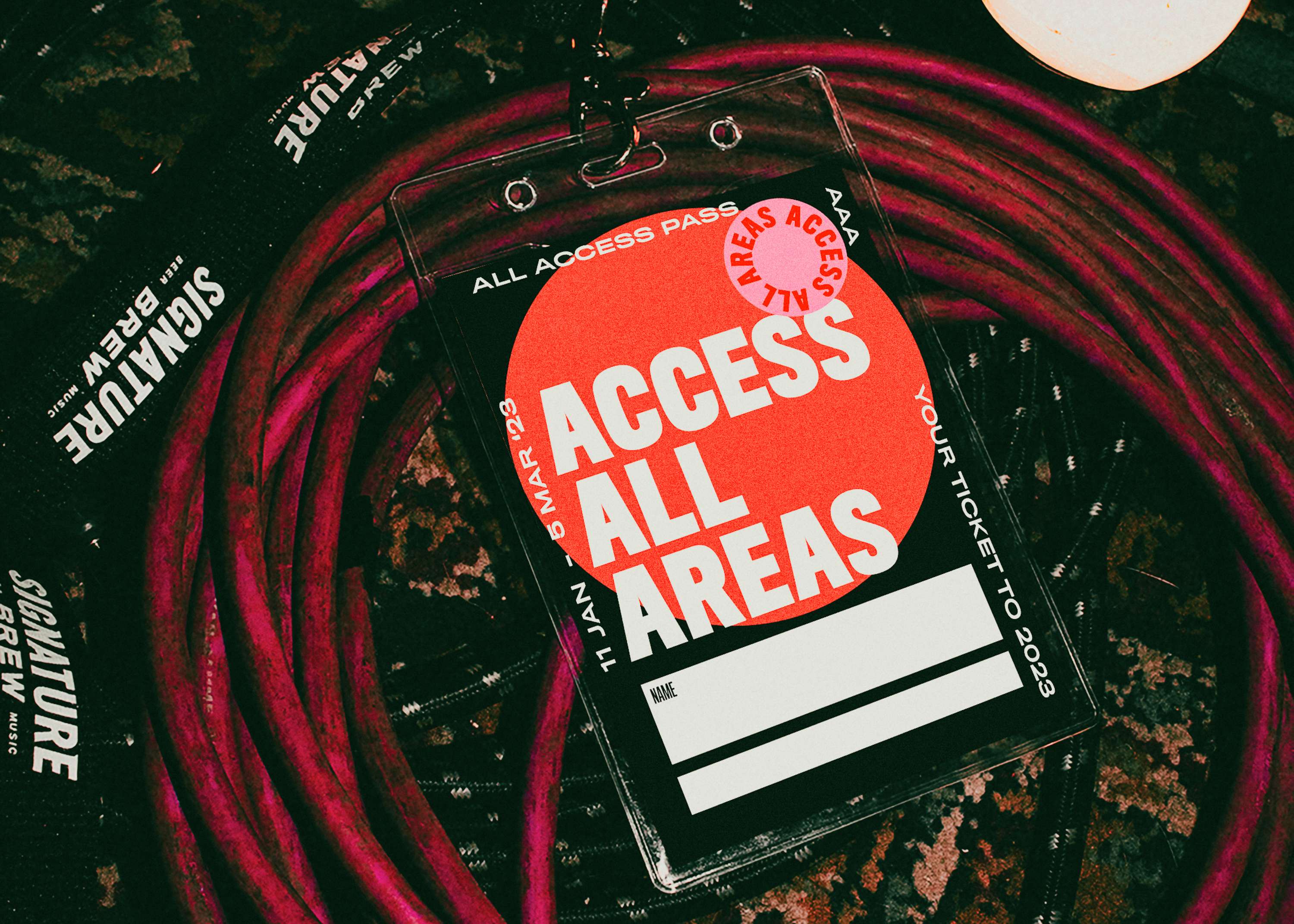 Access All Areas: your ticket to 2023 by Braden Fletcher