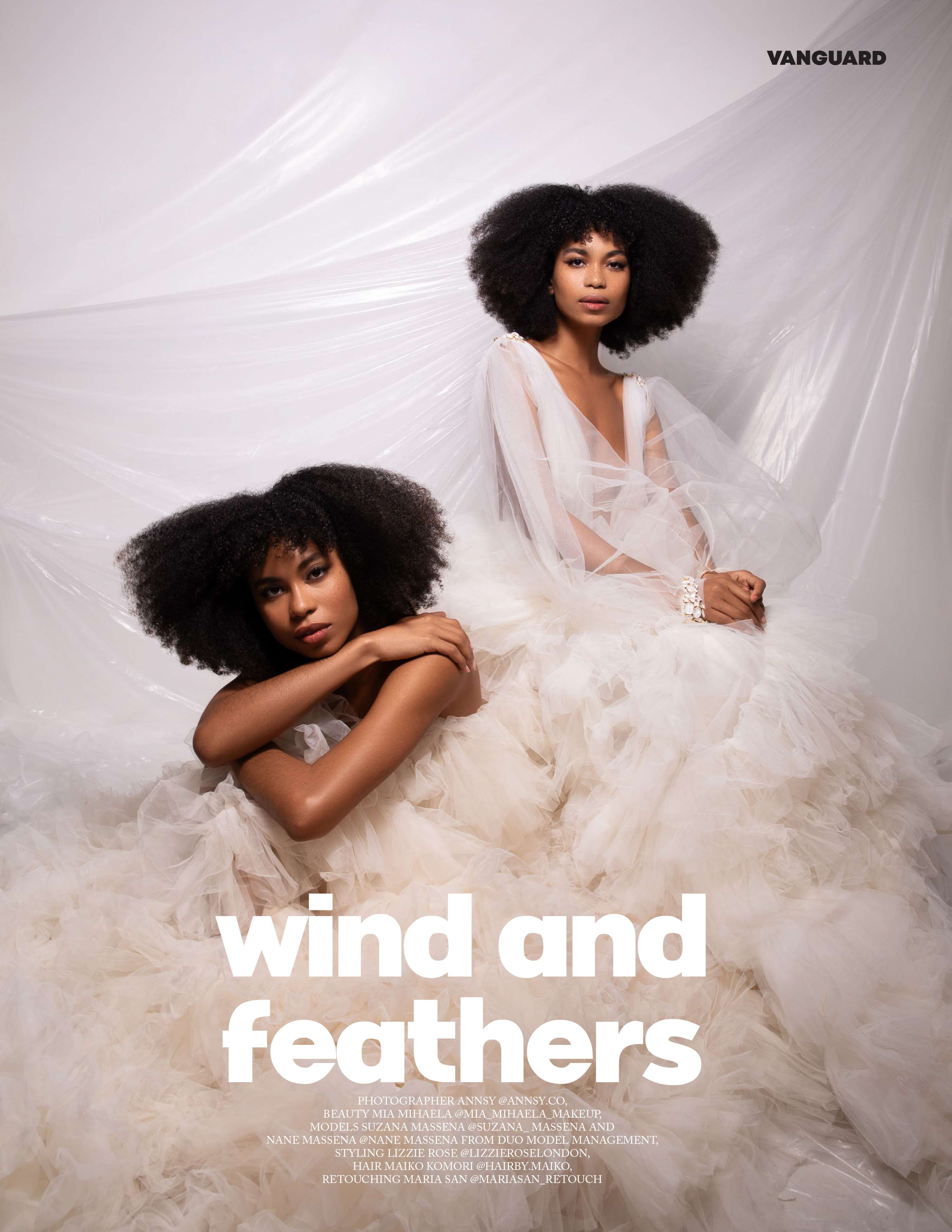 Wind and Feathers by Annsy G