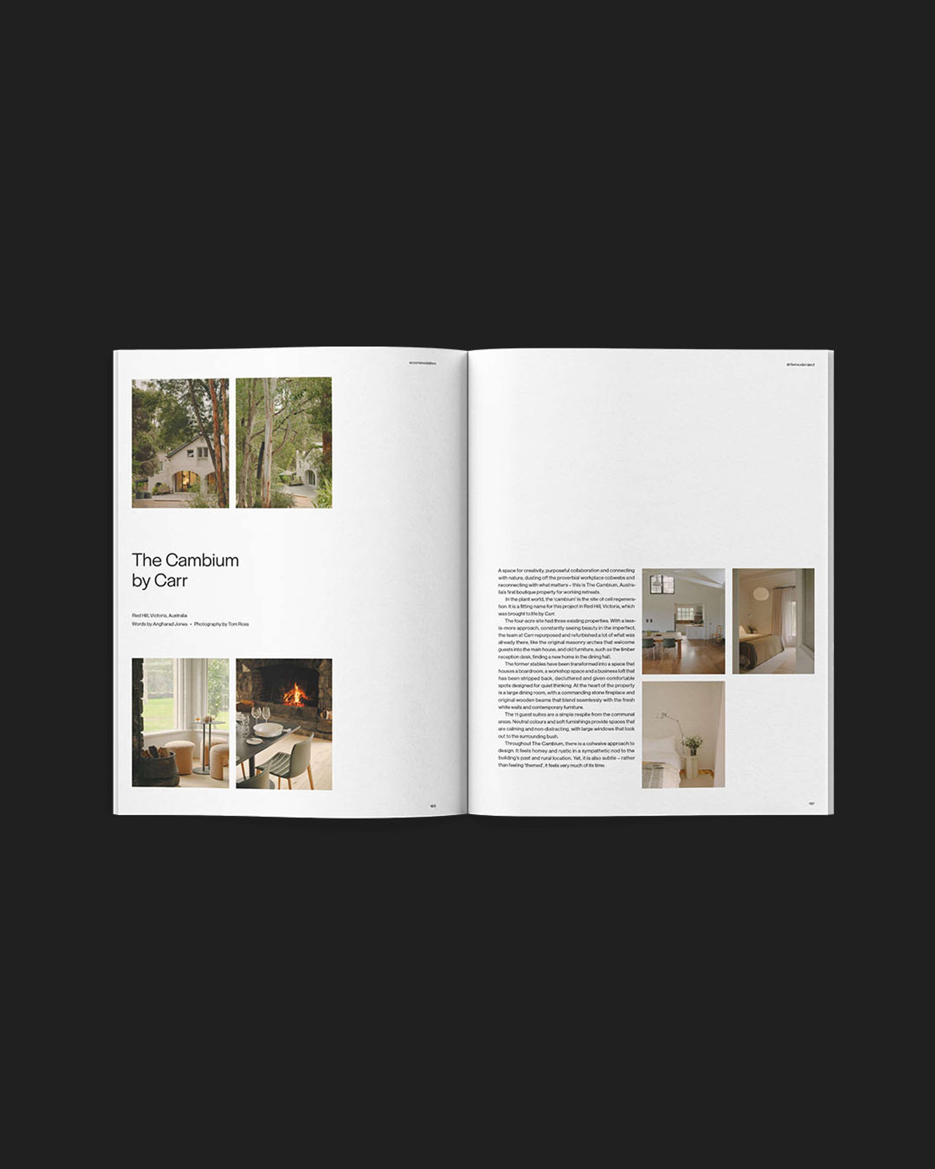 The Local Project Issue 11 by Angharad Jones