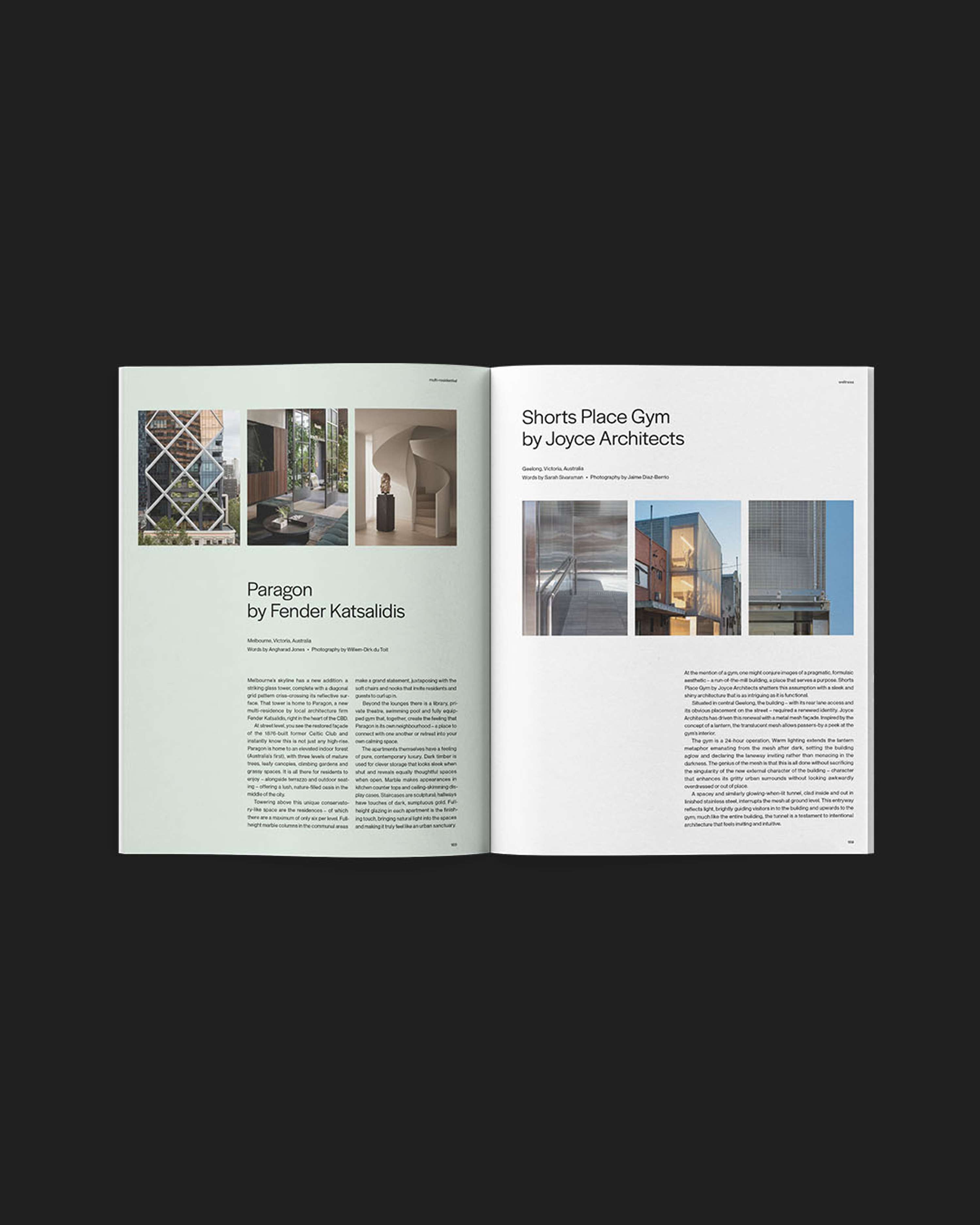 The Local Project Issue 11 by Angharad Jones