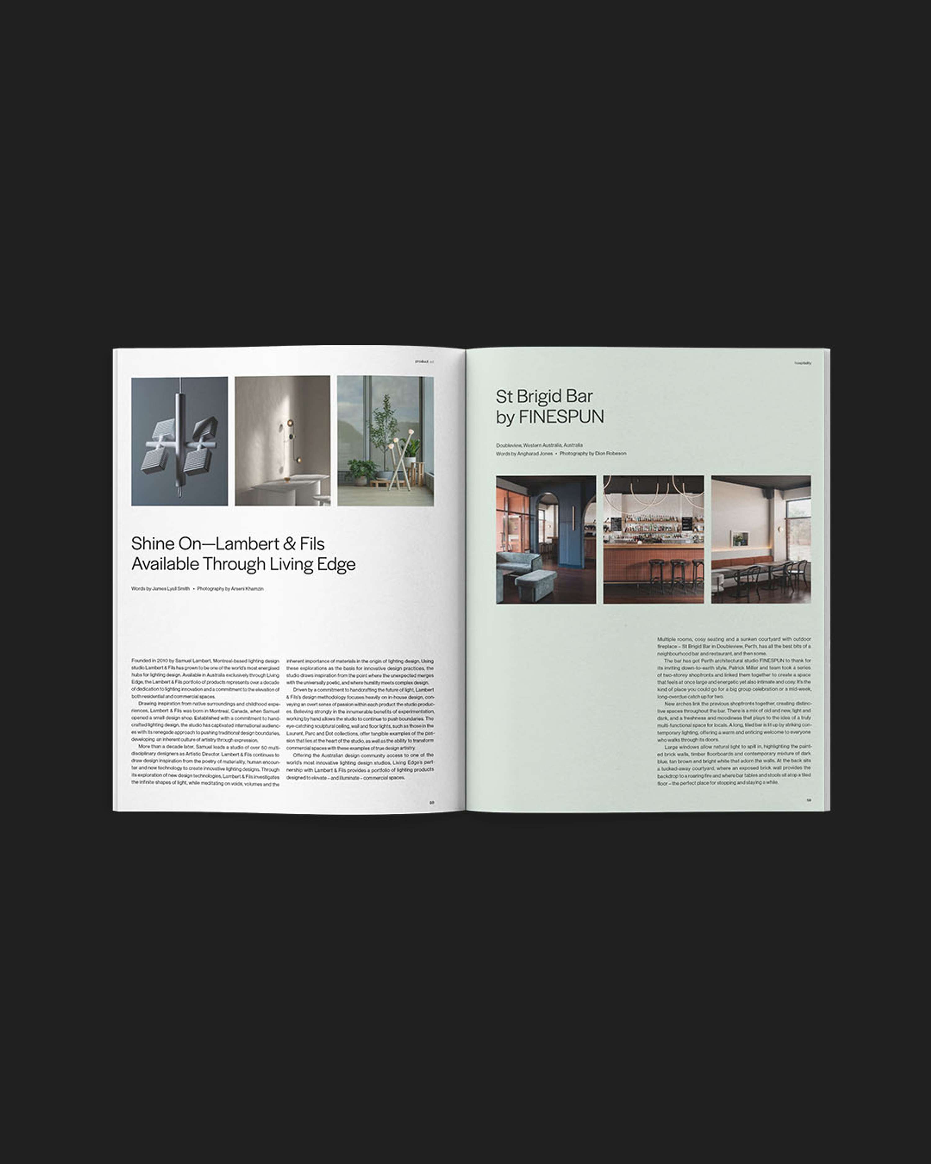 The Local Project Issue 11 by Angharad Jones