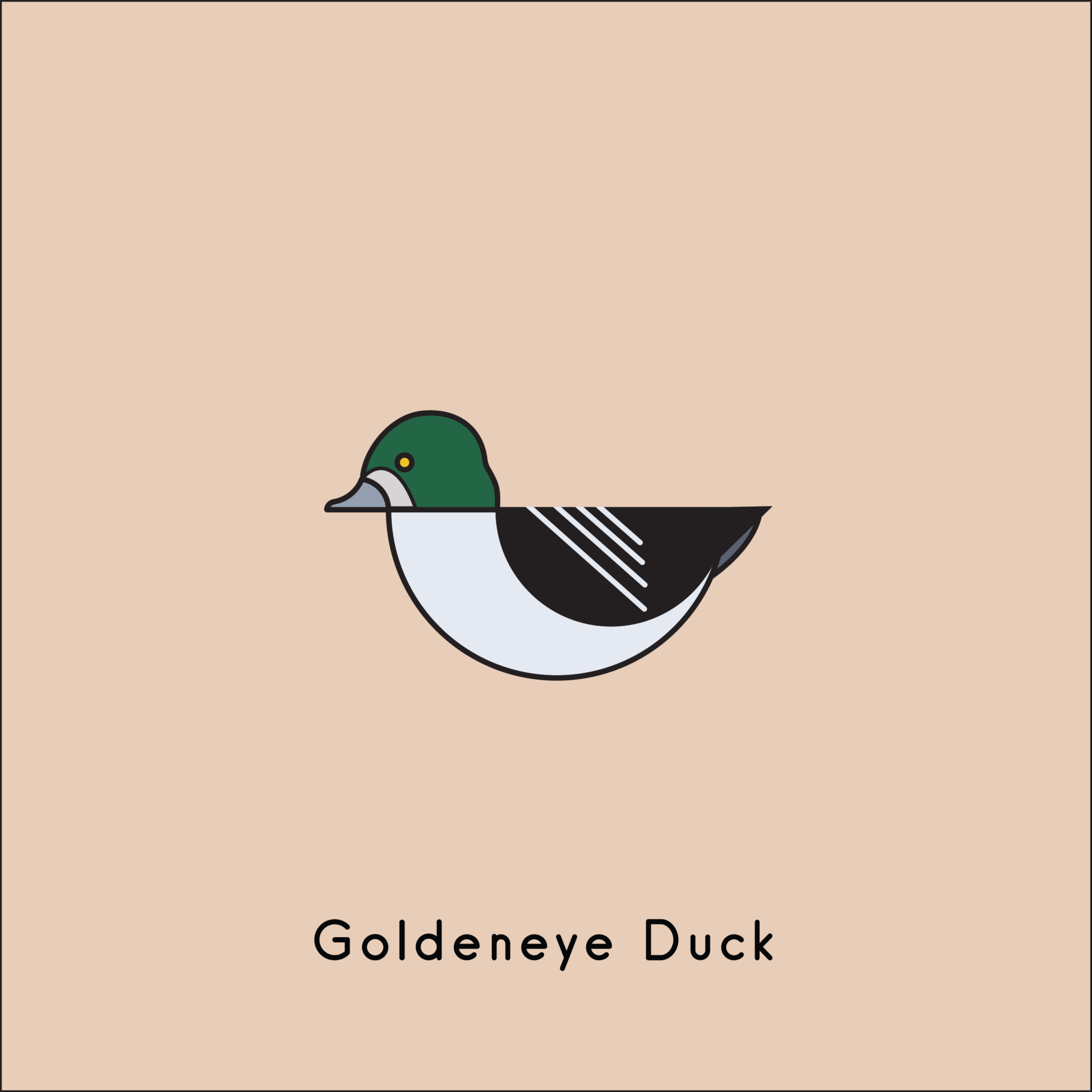Ducks by Ross Weaver