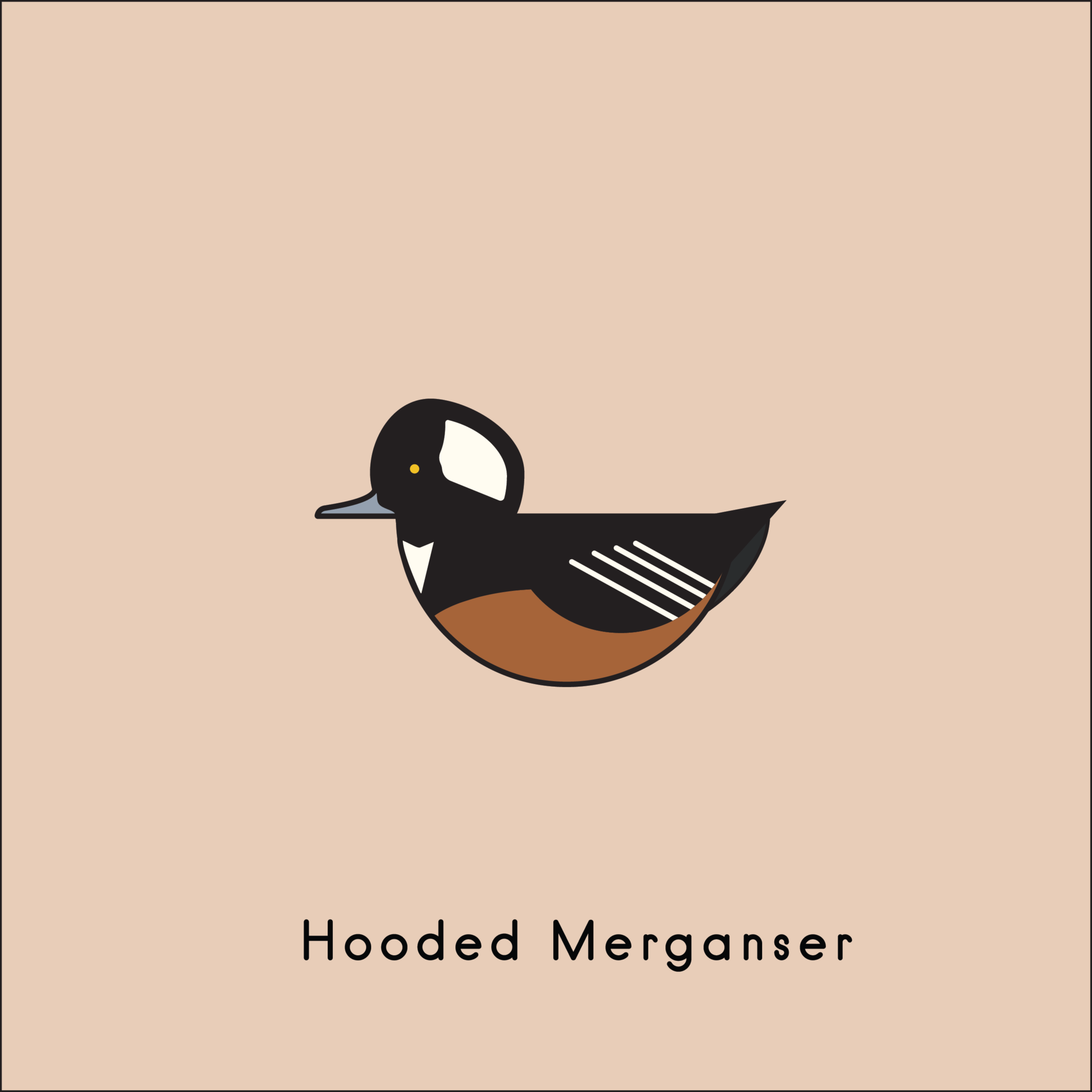 Ducks by Ross Weaver