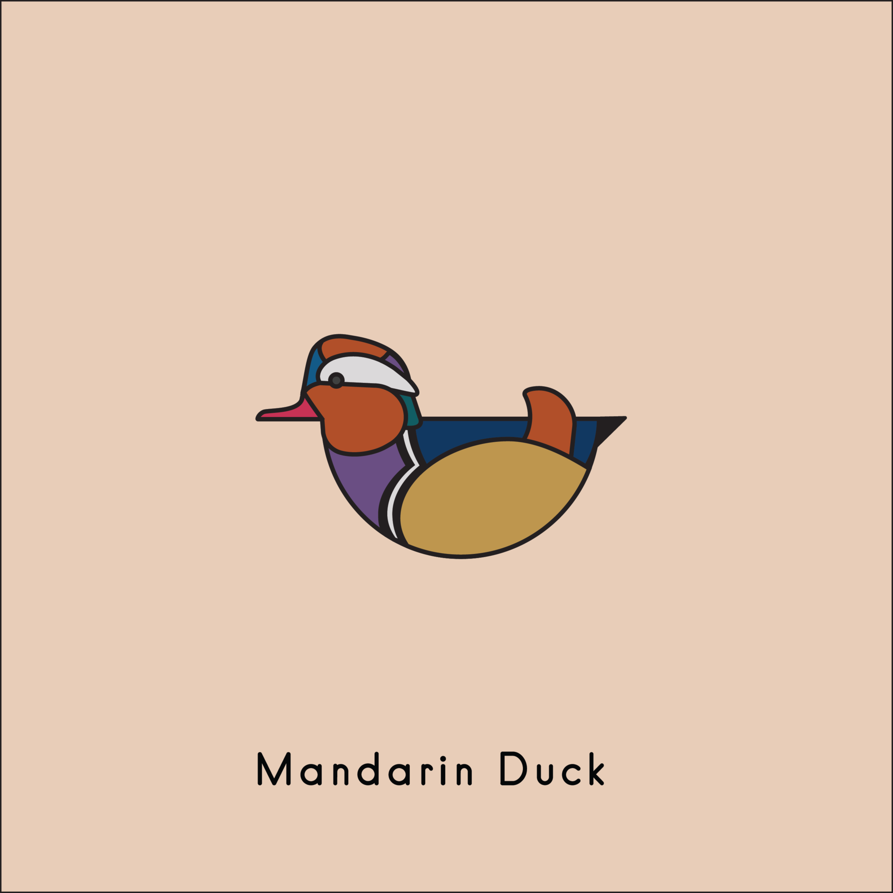 Ducks by Ross Weaver