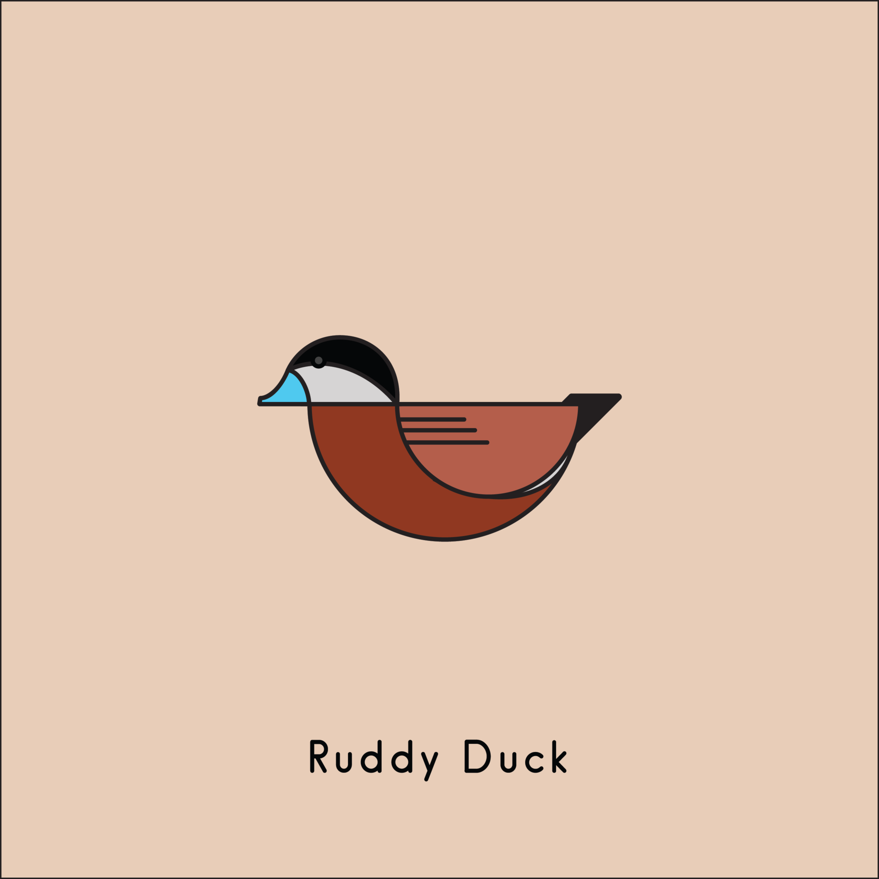 Ducks by Ross Weaver
