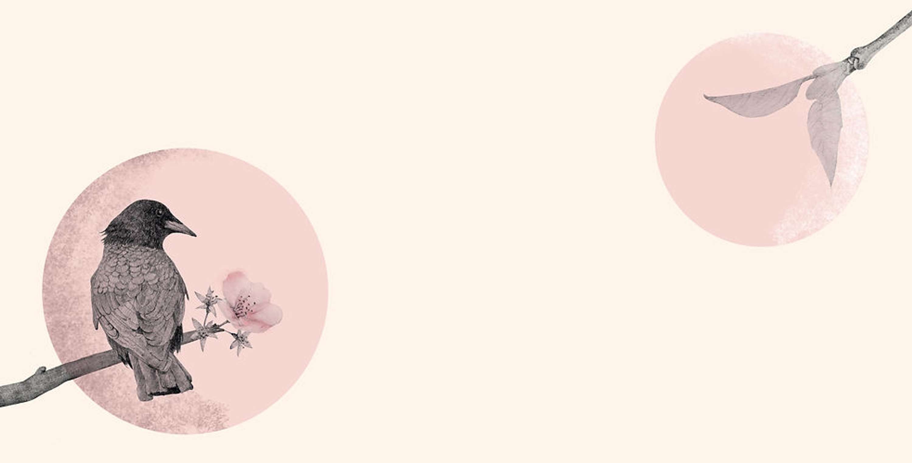 THE CROW AND THE CHERRY BLOSSOM - PICTURE BOOK by Shao Ni