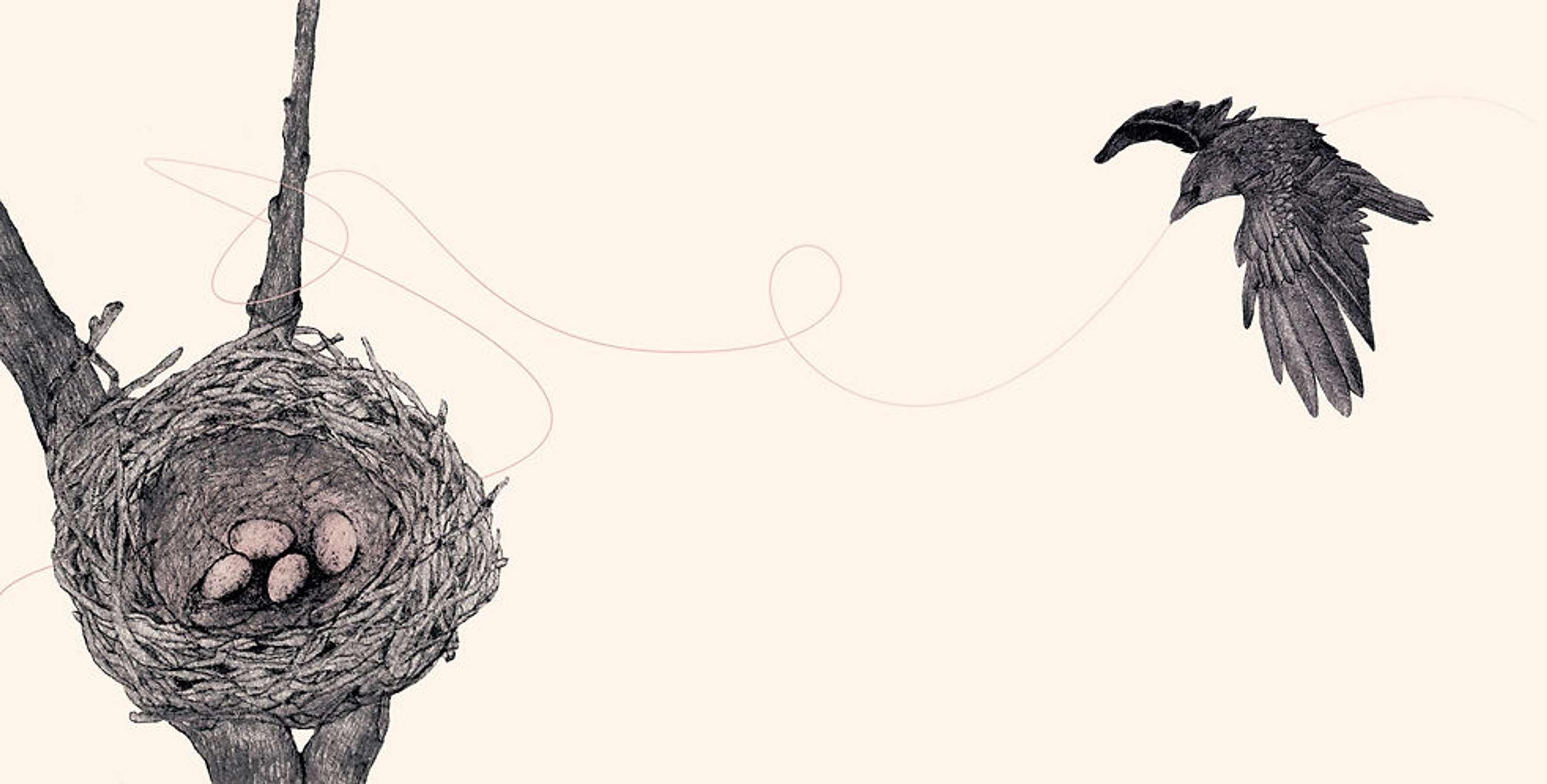 THE CROW AND THE CHERRY BLOSSOM - PICTURE BOOK by Shao Ni
