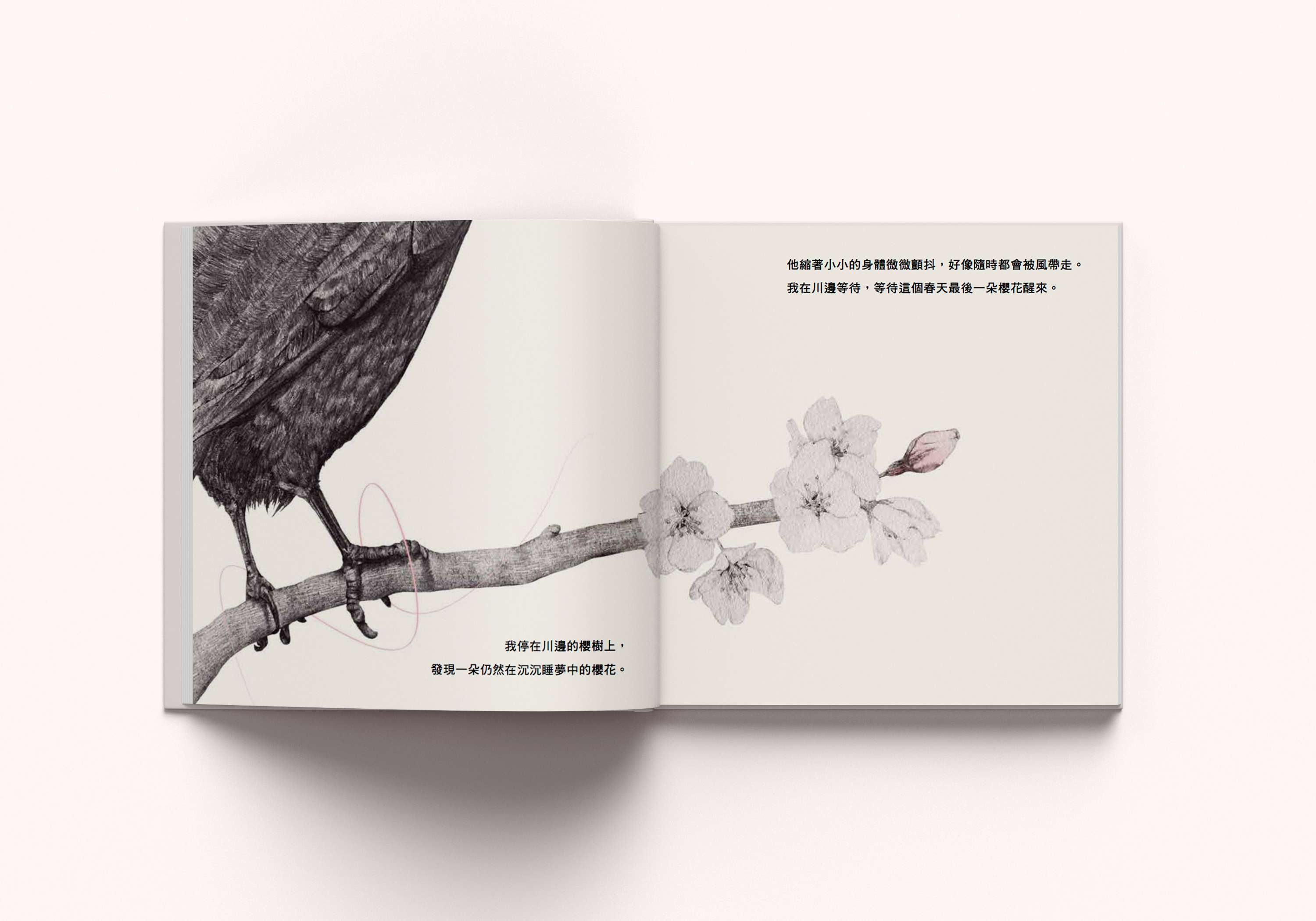 THE CROW AND THE CHERRY BLOSSOM - PICTURE BOOK by Shao Ni