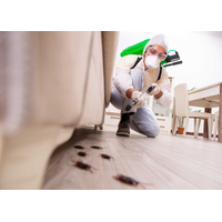 Little Chicago Termite Removal Experts logo