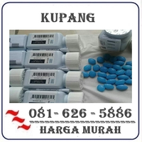 Apotik Farmasi Jual Obat Kuat Di Kupang 082121380048 logo