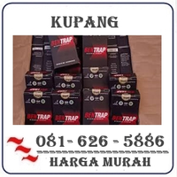 Apotik Farmasi Jual Obat Bentrap Di Kupang 082121380048 logo