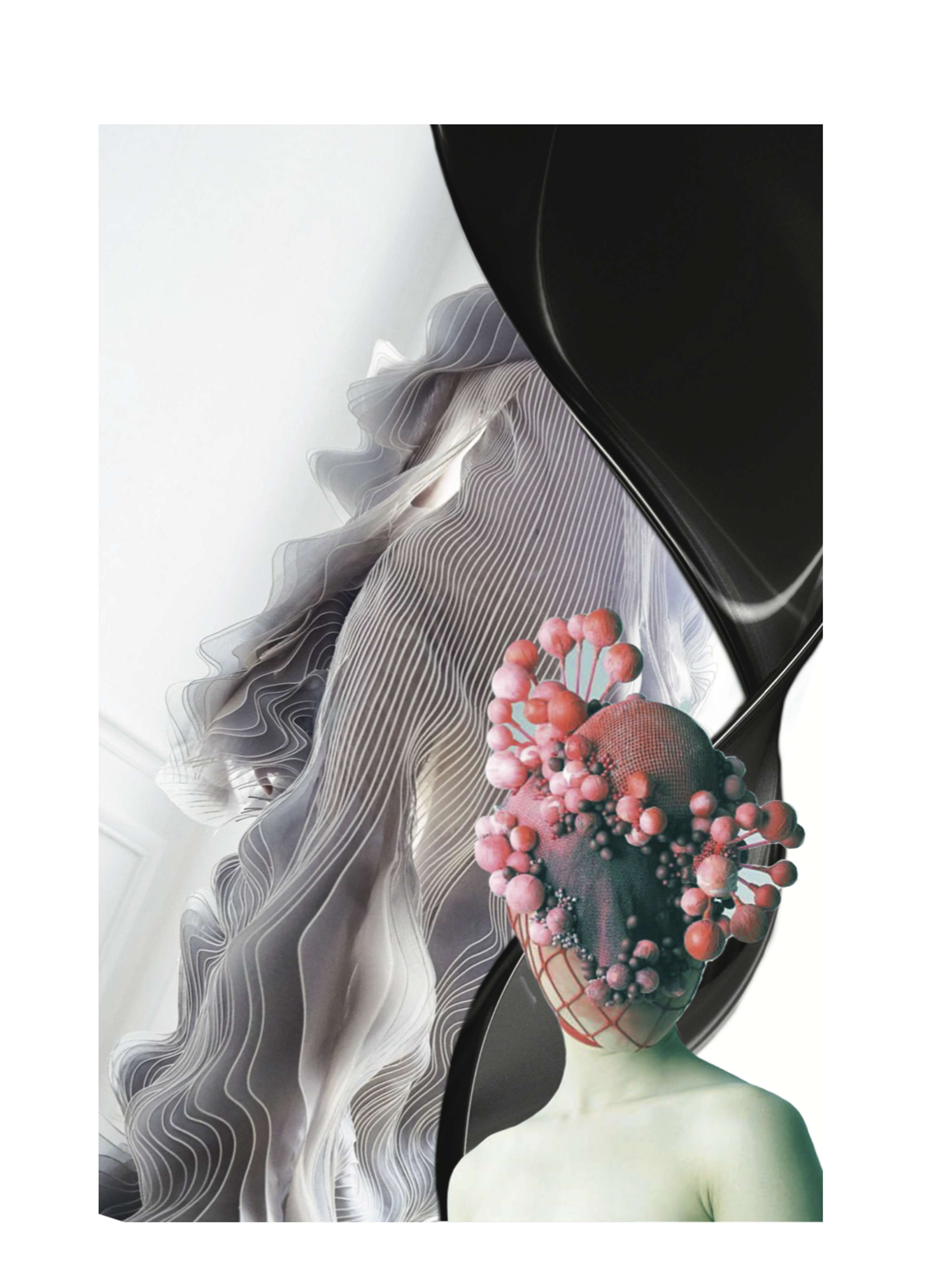 Vivition: The Collection by Antonia Nehring