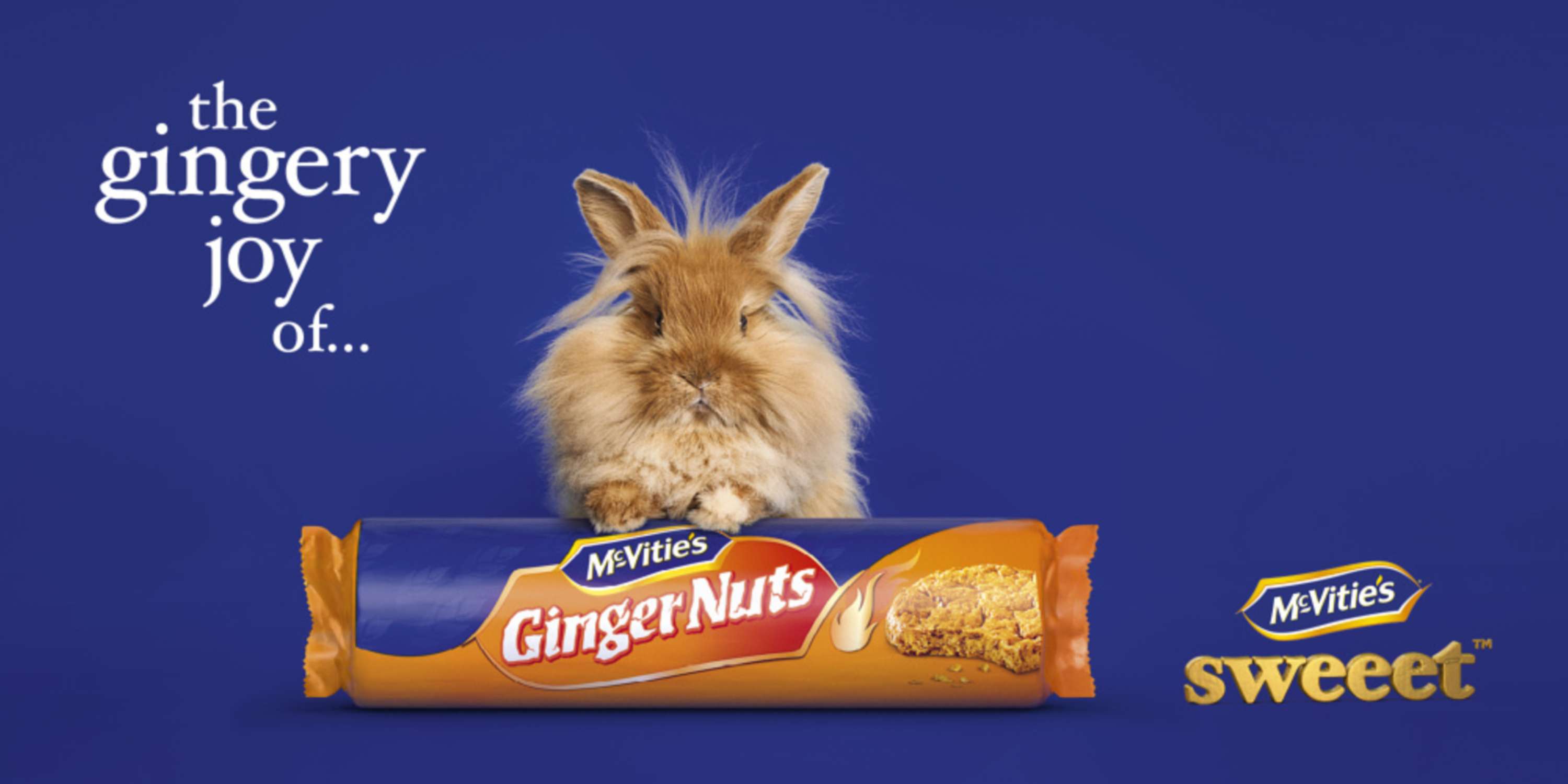 Mcvities by Clemmie Telford