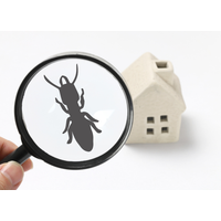 The Resort City Termite Removal Experts logo
