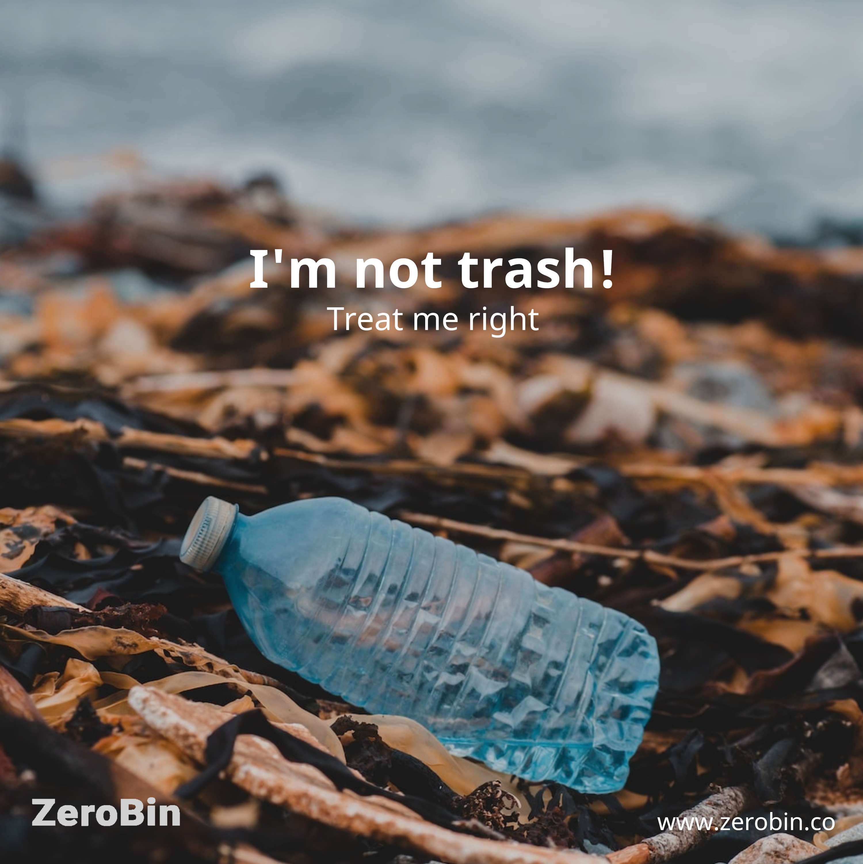 Help us by sharing your experience with Plastic by Sarah Suib
