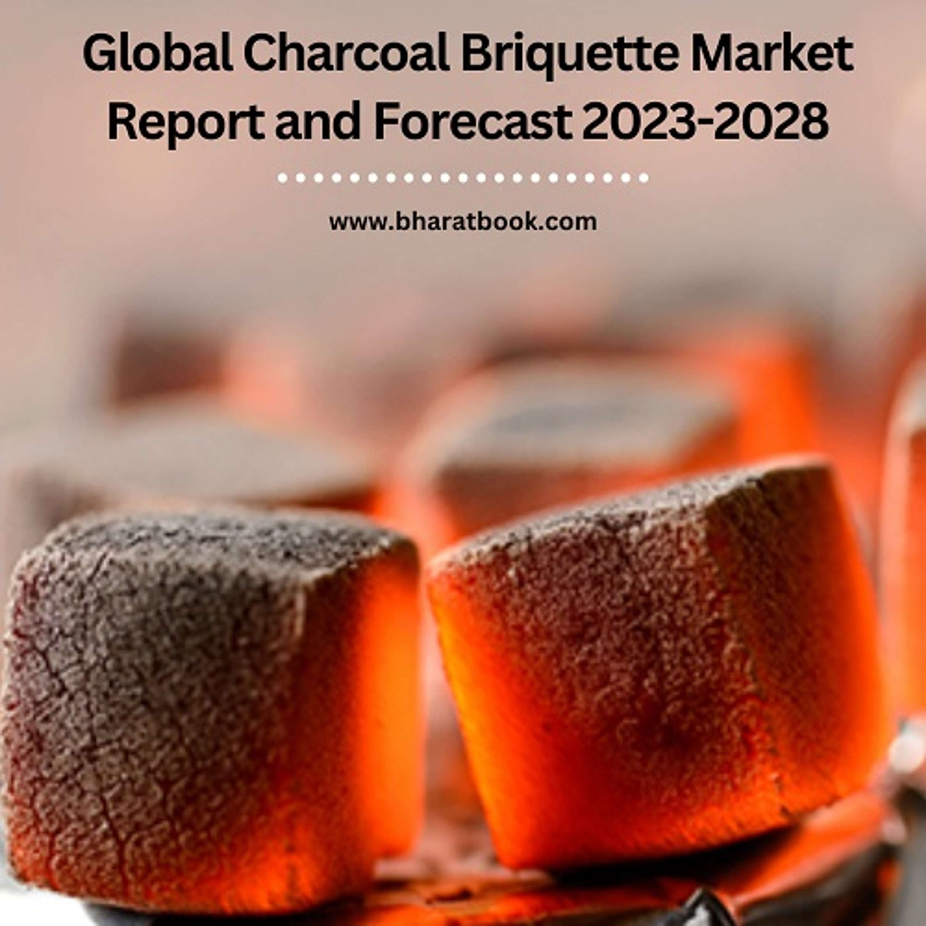 Global Charcoal Briquette Market Report and Forecast 2023-2028 by Priya Prakash