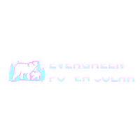 Evergreen Power Solar logo