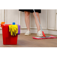 Move In Move Out Cleaning Services San Diego logo