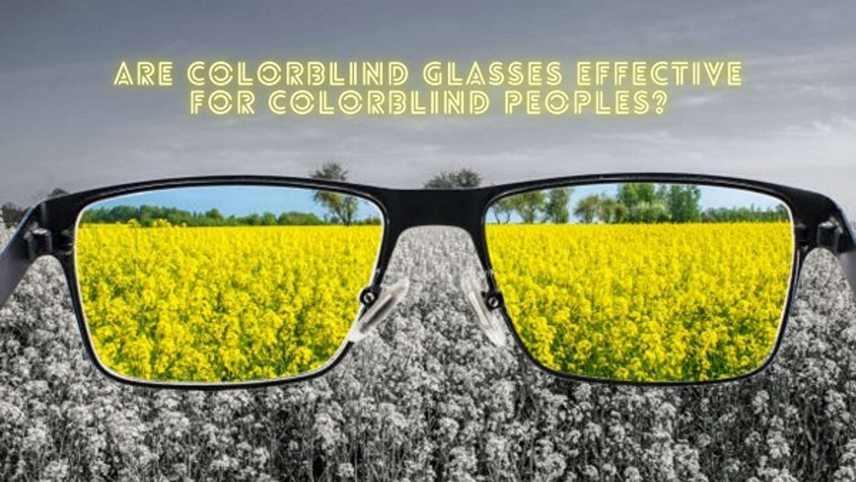 A Closer Look at Colorblind Glasses by Colorblind Test