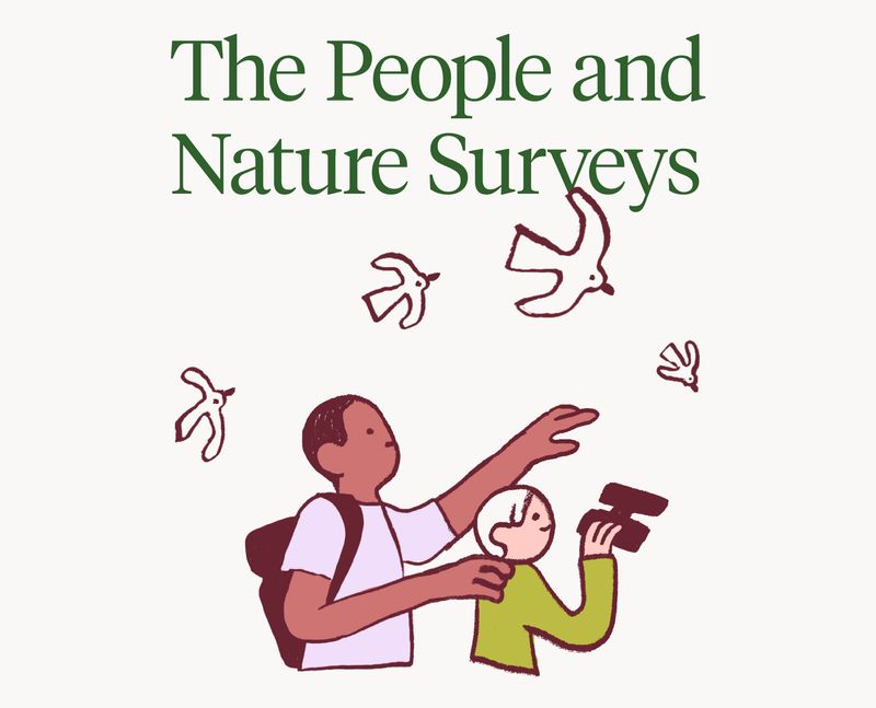 The People and Nature Surveys by Tyla Mason