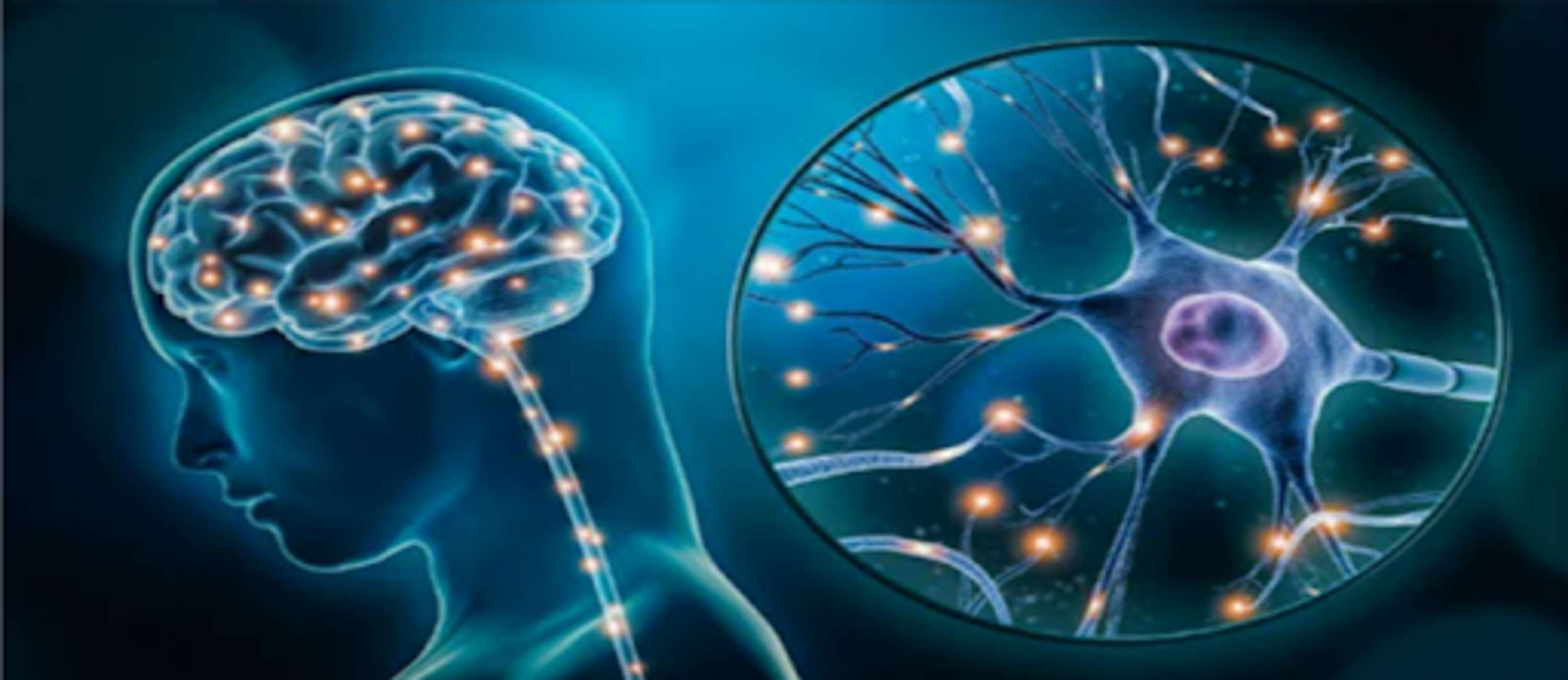 Advanced Memory Formula Reviews - Hidden Truth Exposed! Read Here by Advanced Memory Formula