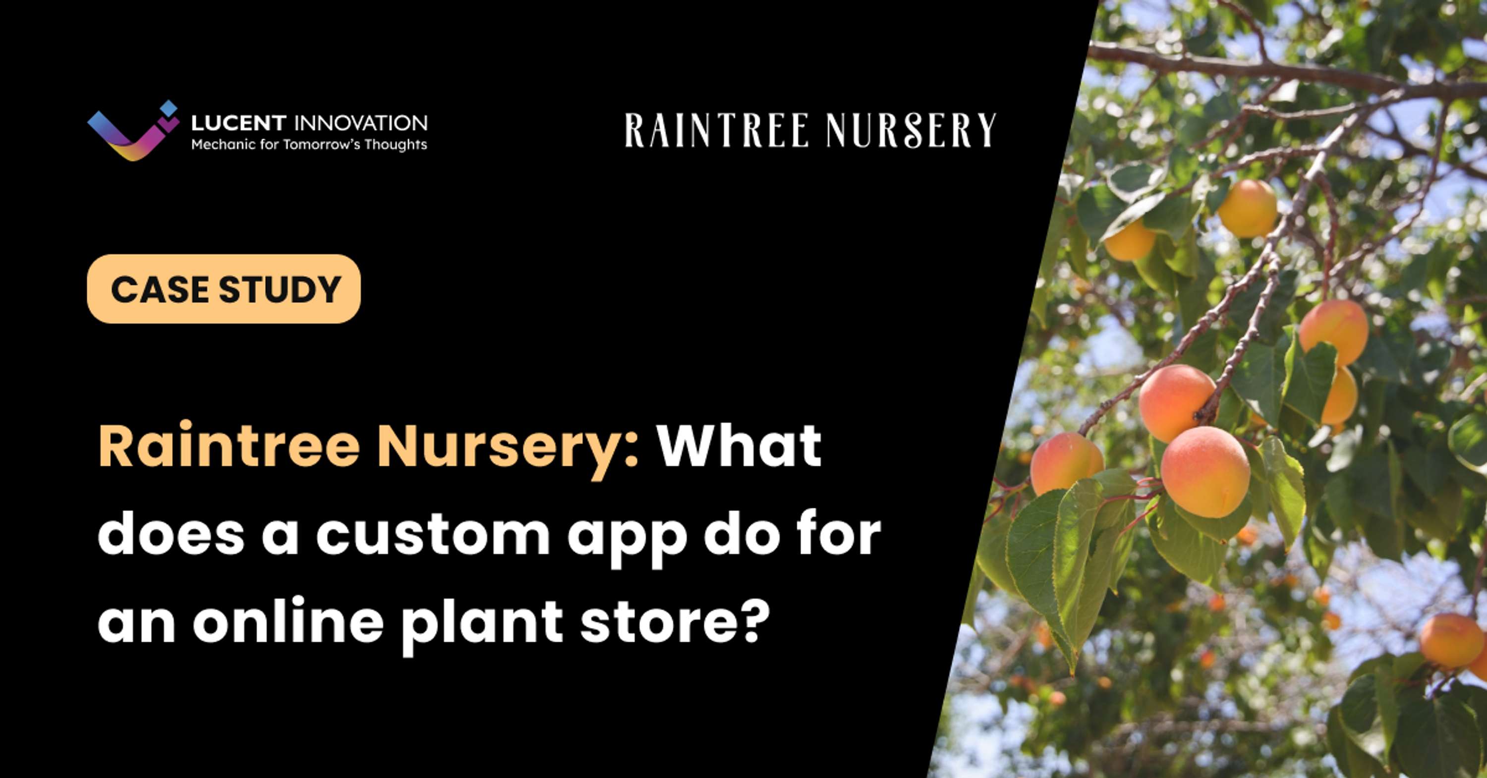 Raintree Nursery by Lucent Innovation