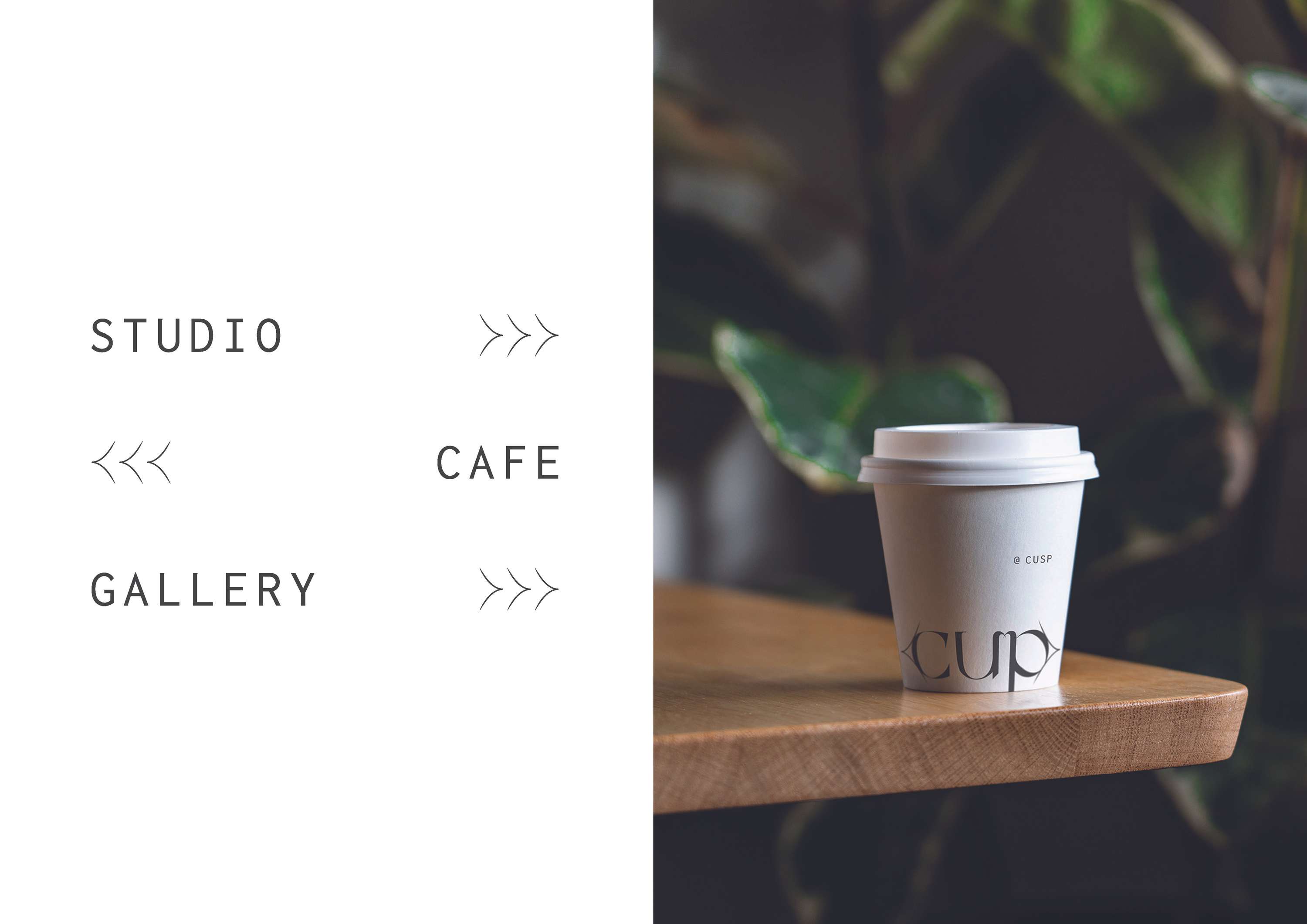 Cusp by Kelsey MacDonald