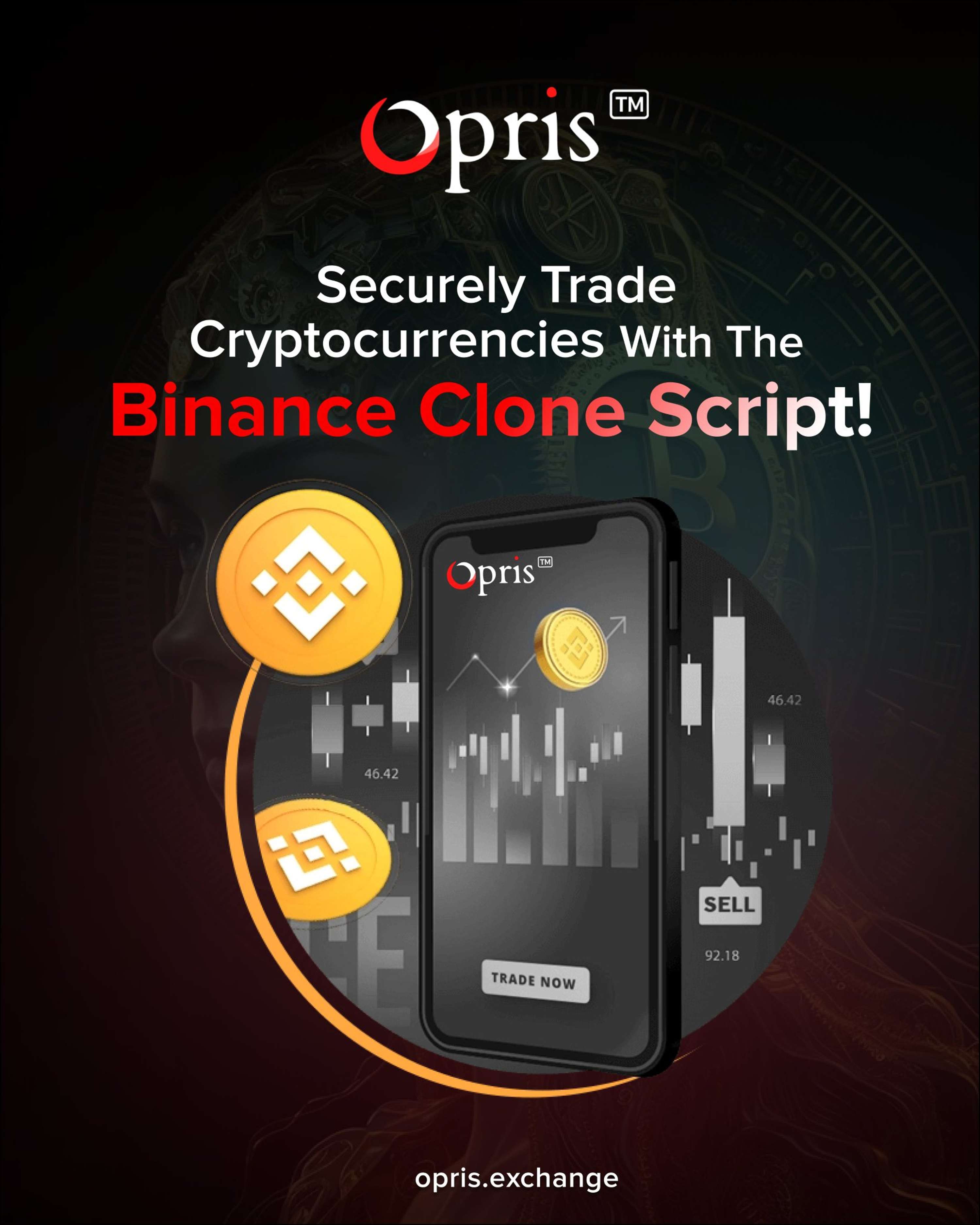Develop Your Own Trading Platform with Binance Clone Script by scott nichole