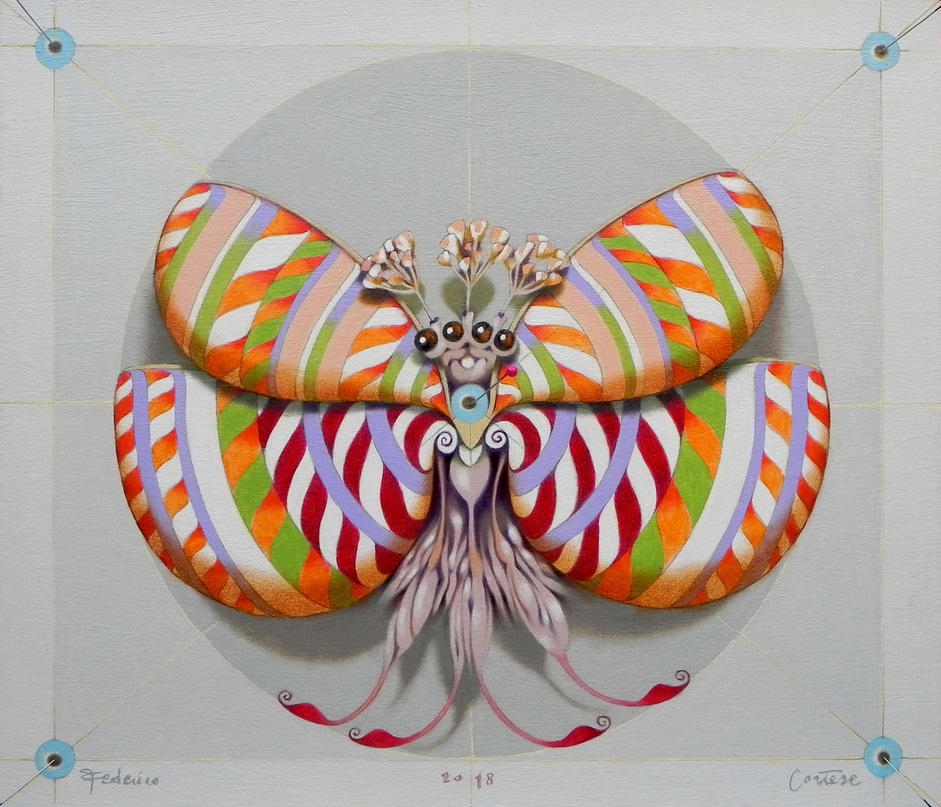 Circular butterflies by federico cortese