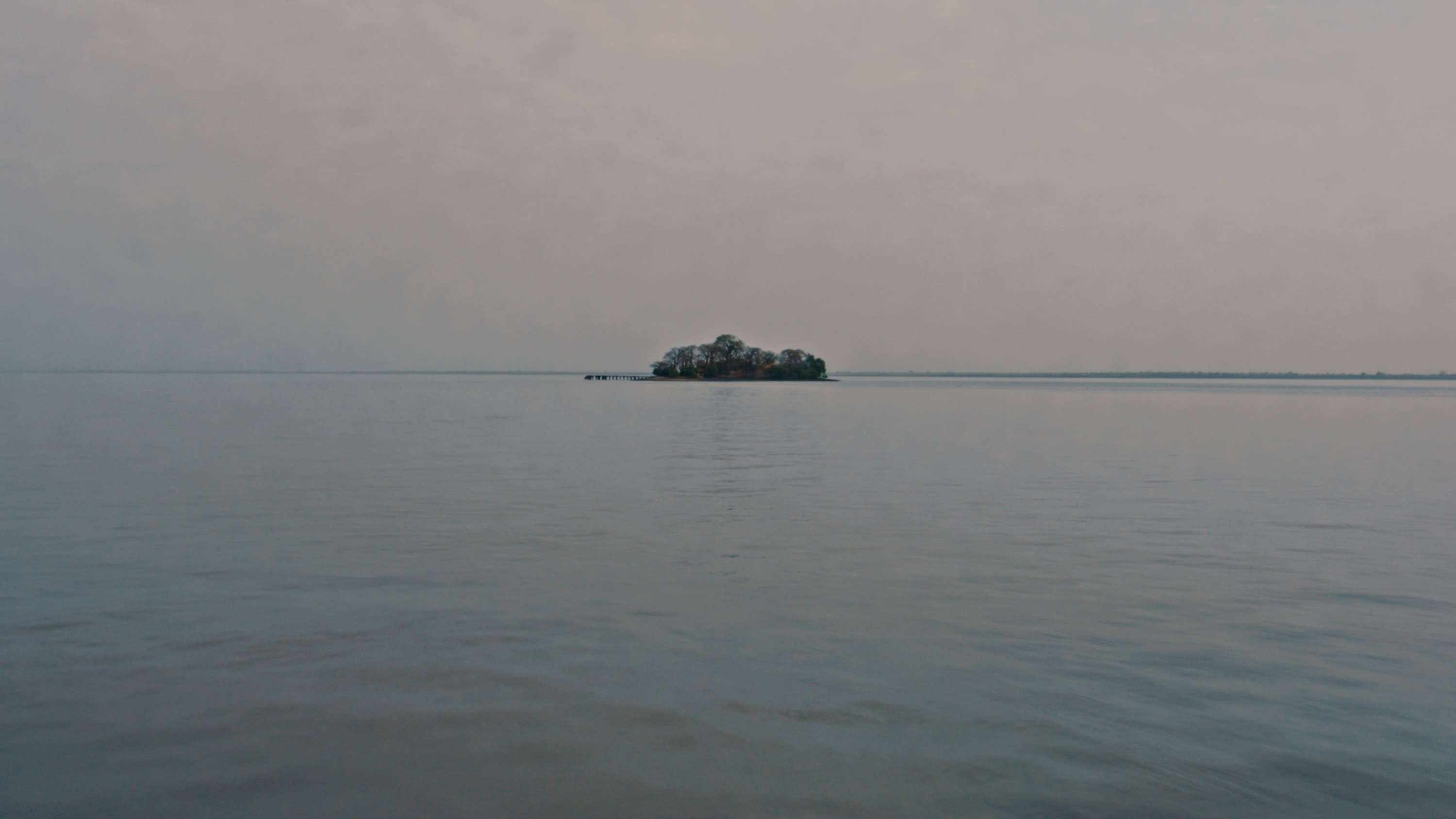 The Return Of An Afrikan Rebel Short Documentary | Directed by Tayo Yusuff by julie machin