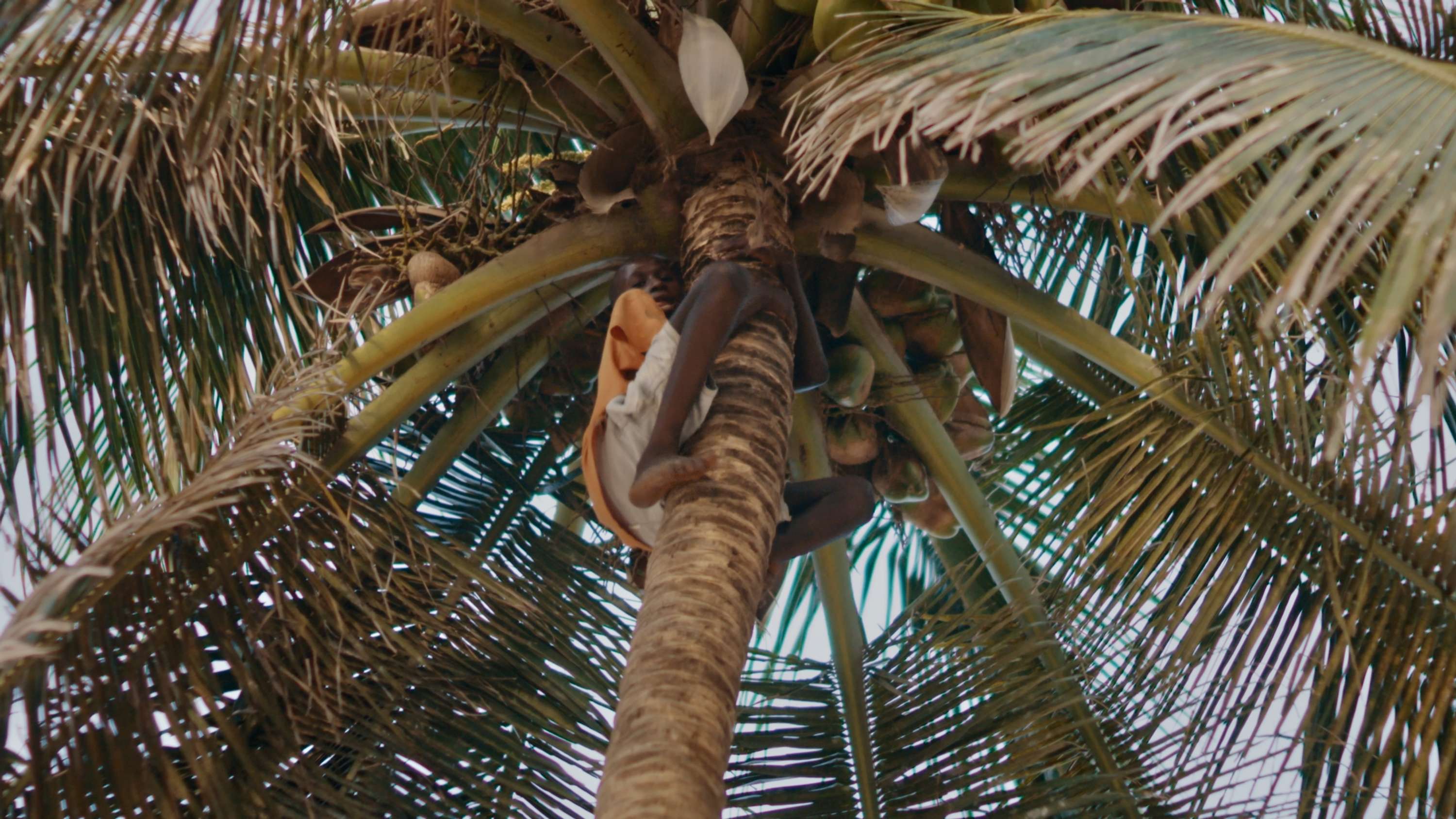 The Return Of An Afrikan Rebel Short Documentary | Directed by Tayo Yusuff by julie machin