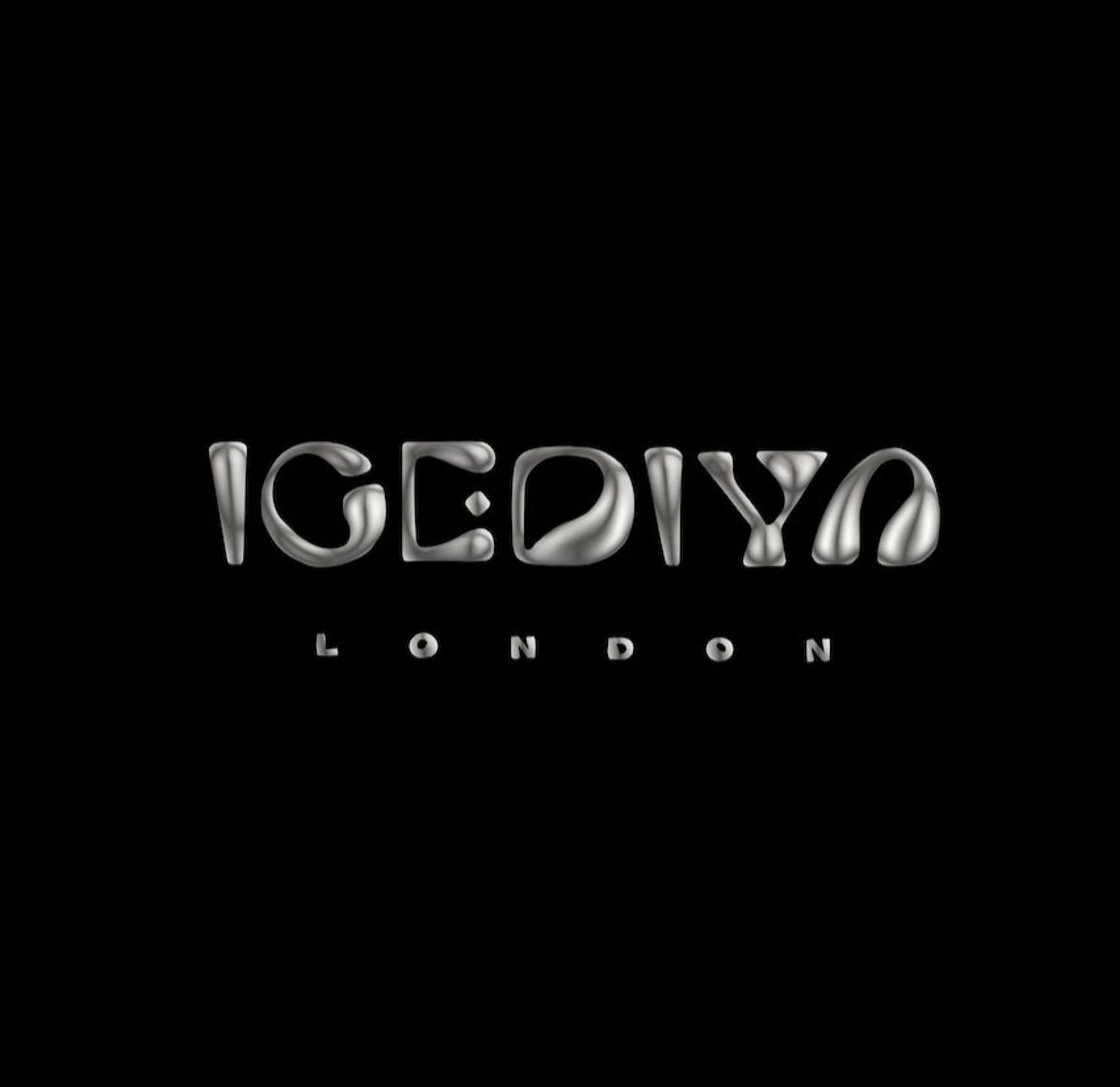 ICEDIYA by Nicole Chapman