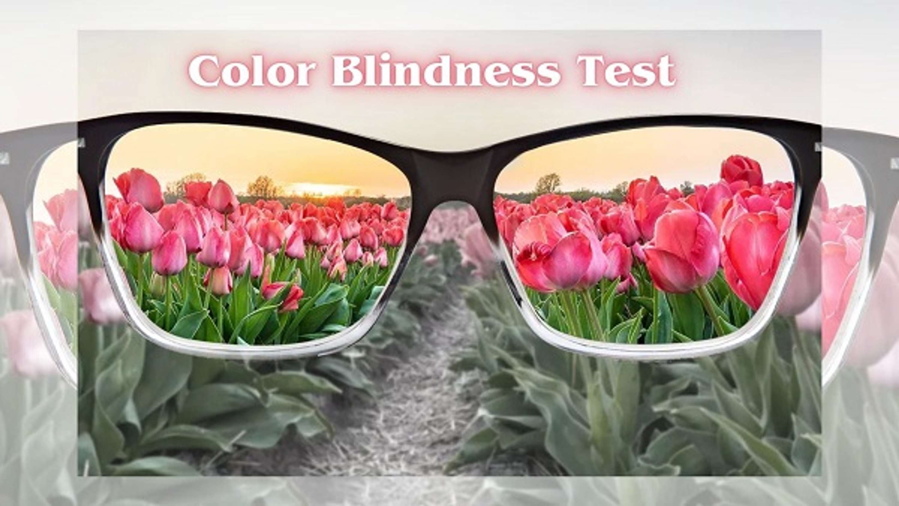 Exploring Various Aspects of Color Blindness by Color Blindness Test