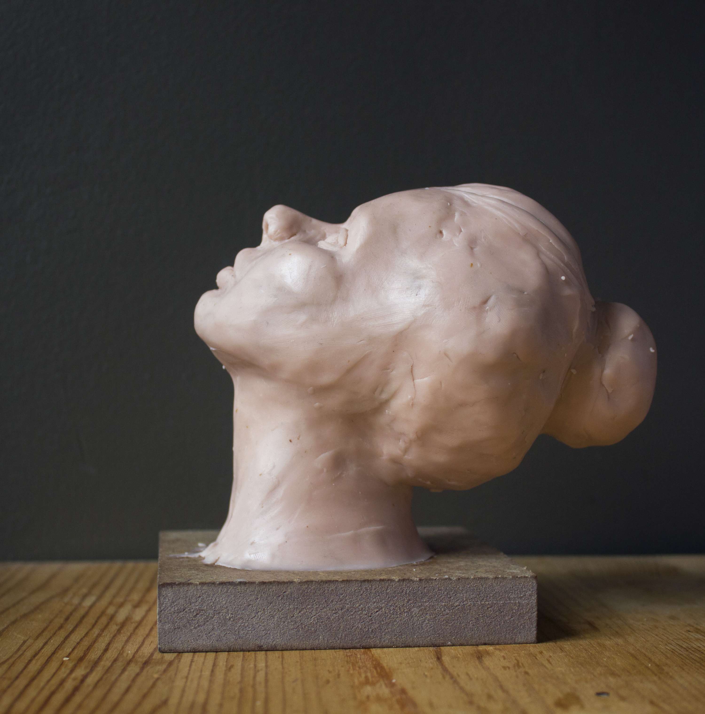 Sculpting Head by Evelyne Saccomanno