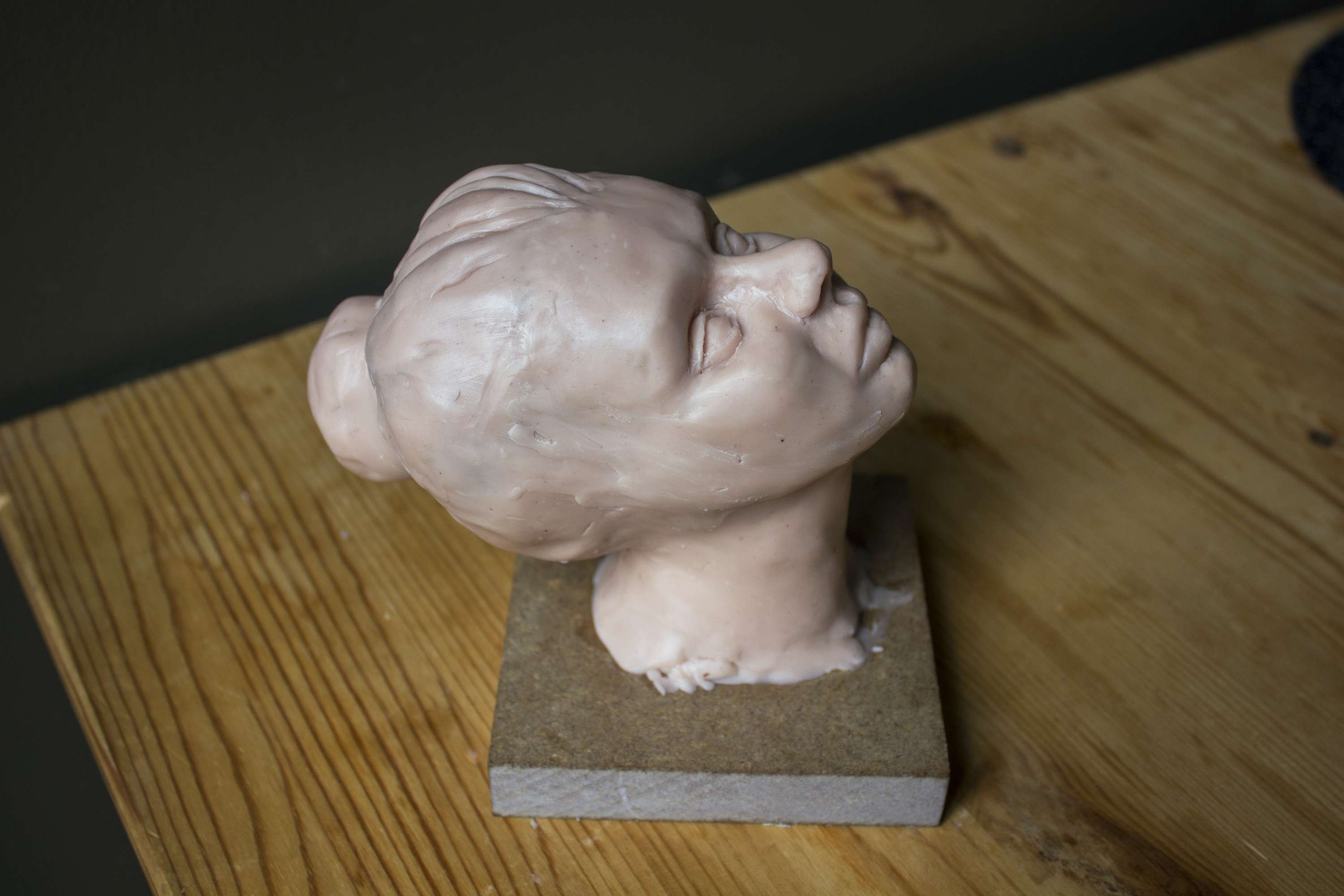 Sculpting Head by Evelyne Saccomanno
