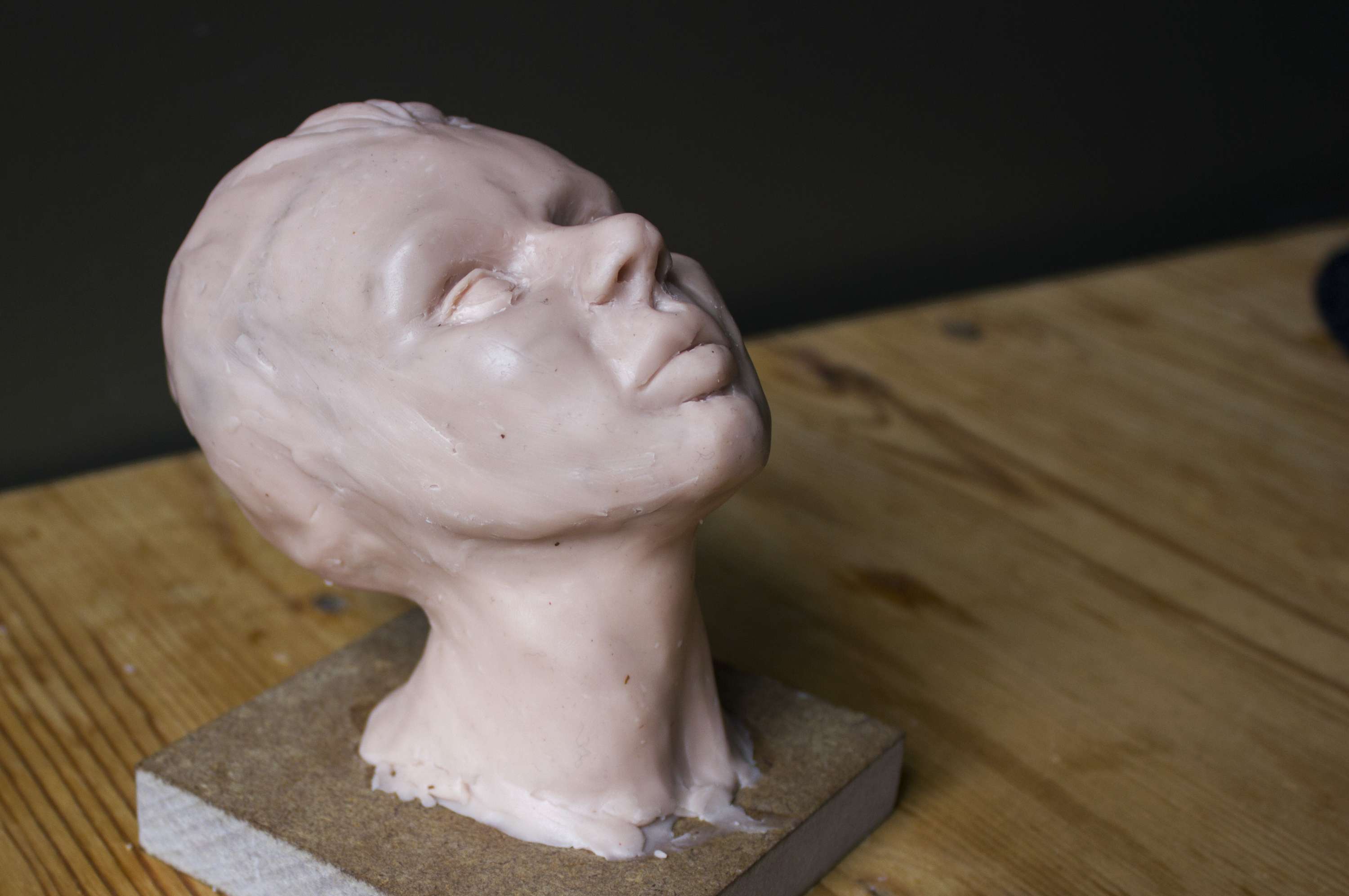 Sculpting Head by Evelyne Saccomanno