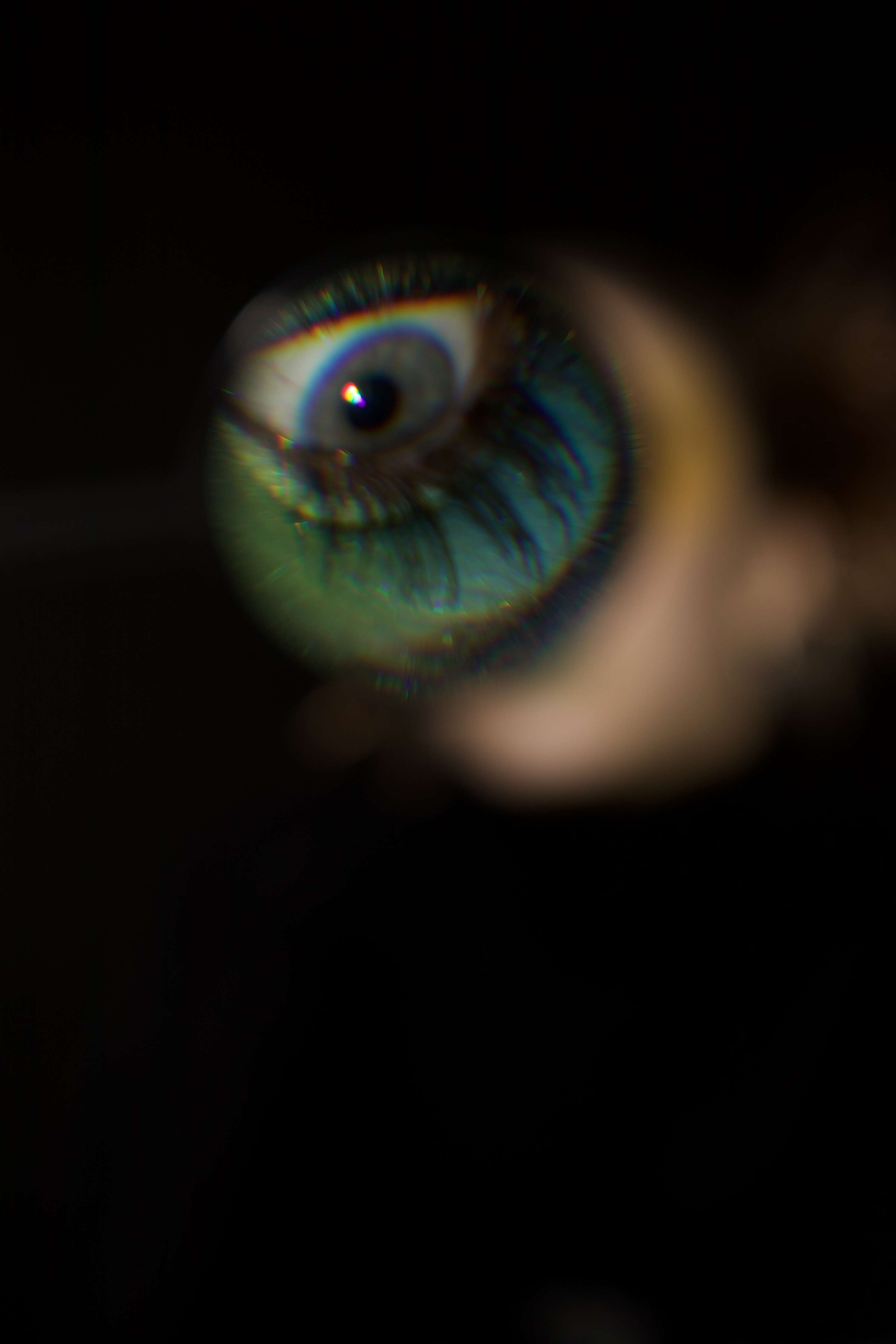 MAGNIFY by Lucy Colbourne