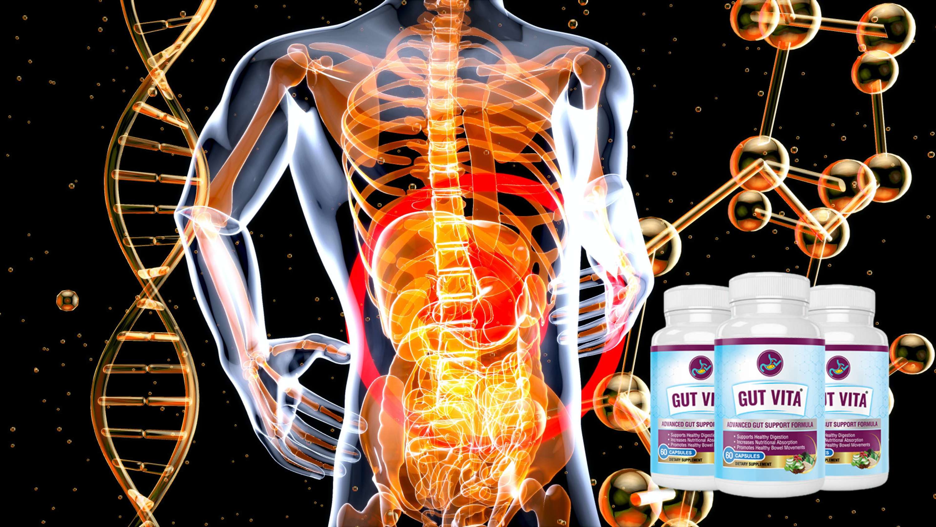 Gut Vita- (#2023 USA Official) 100% Natural & Organic Formula for Dramatically Improve Digestive Health and Gut Microbiome ! by GutVita US