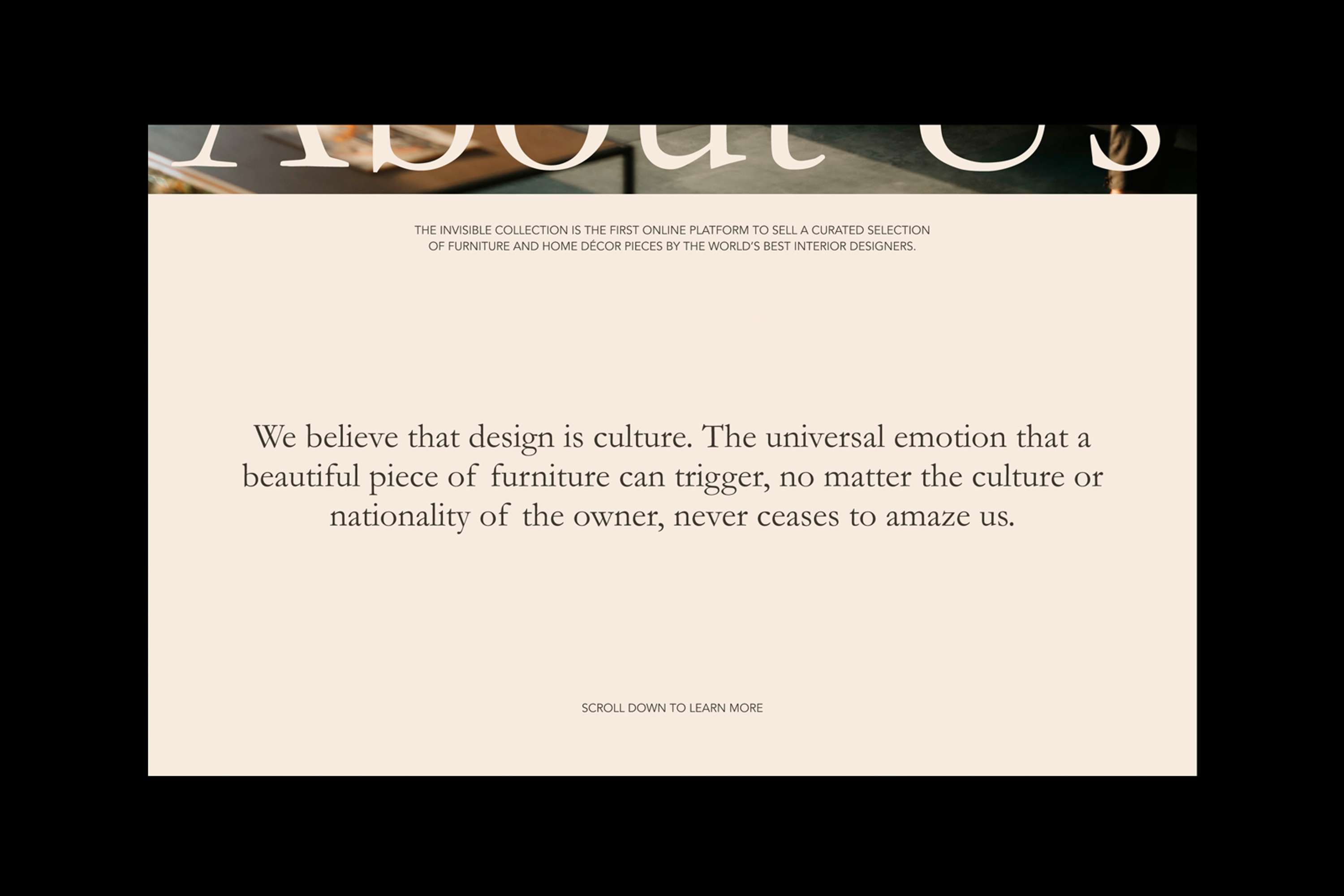 The Invisible Collection by Bryony Oakley