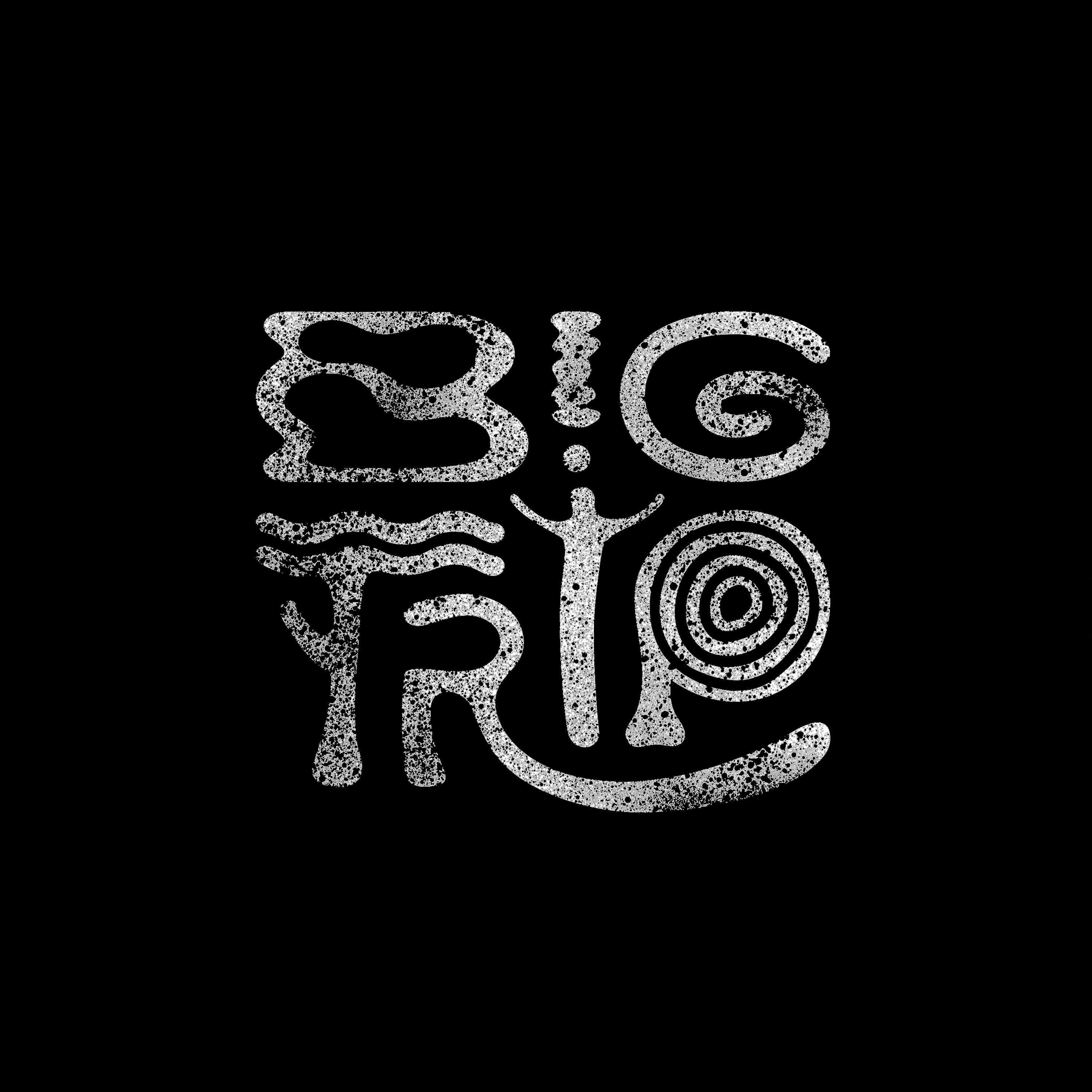 Big Trip Indigenous Branding Project by Toni Giddings