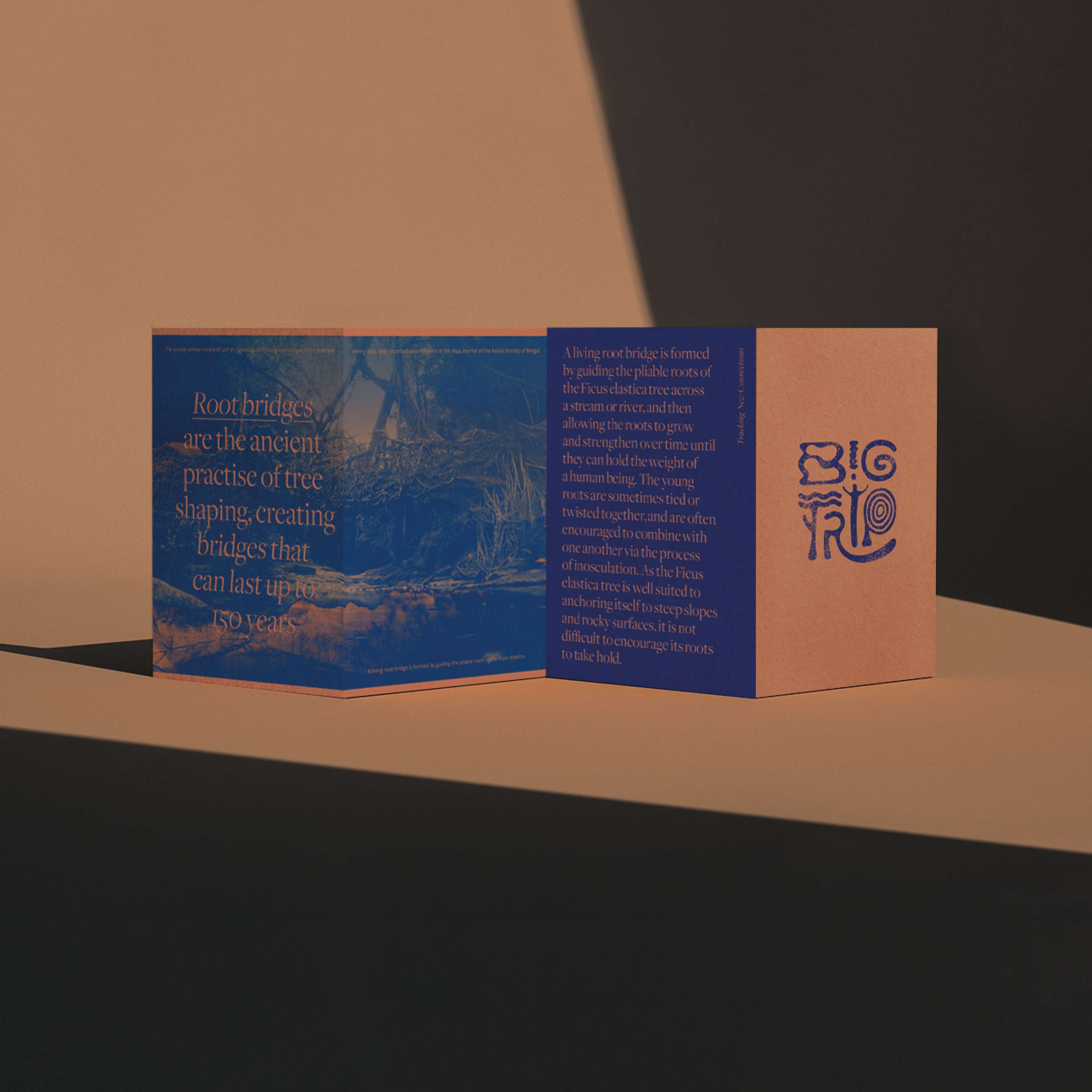 Big Trip Indigenous Branding Project by Toni Giddings