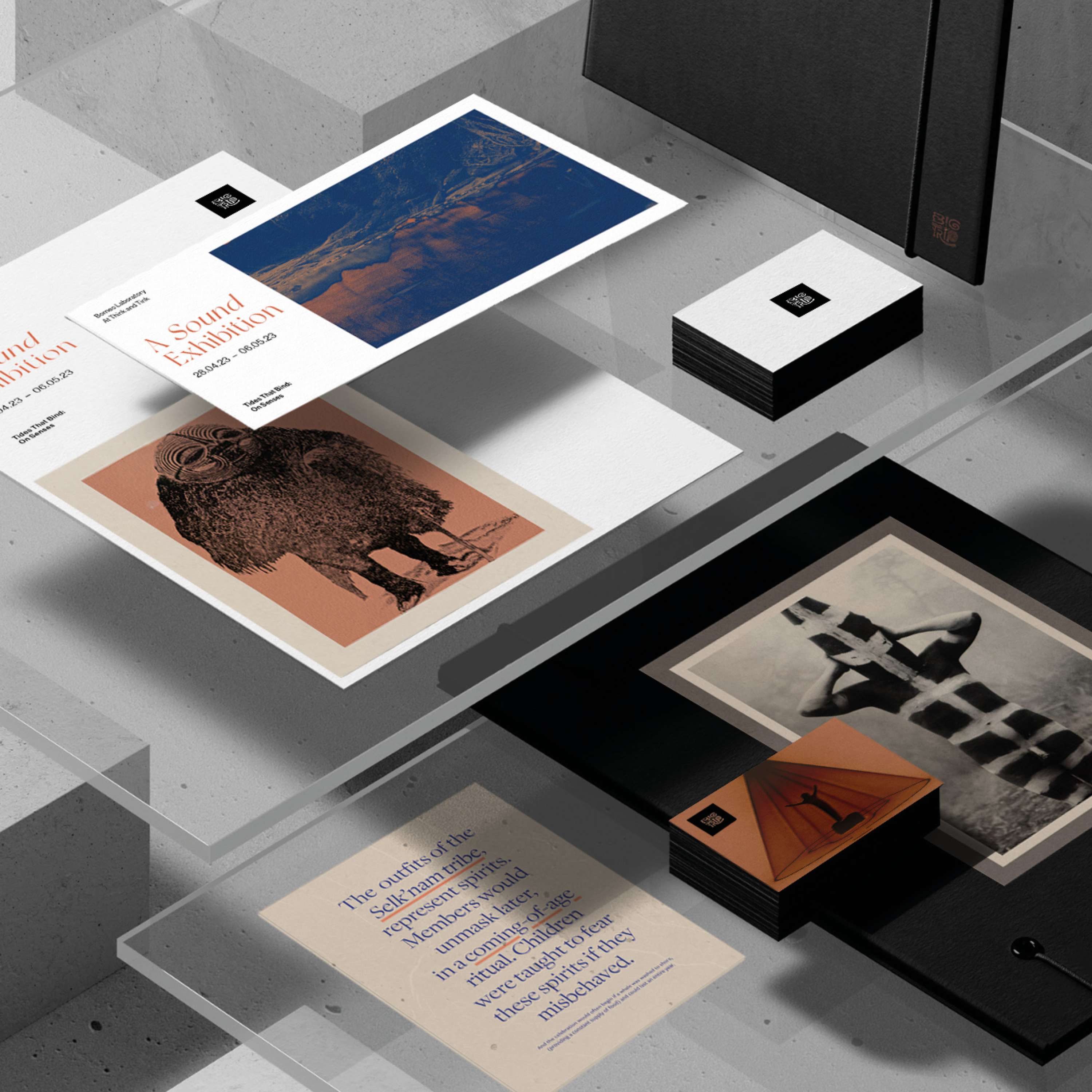 Big Trip Indigenous Branding Project by Toni Giddings
