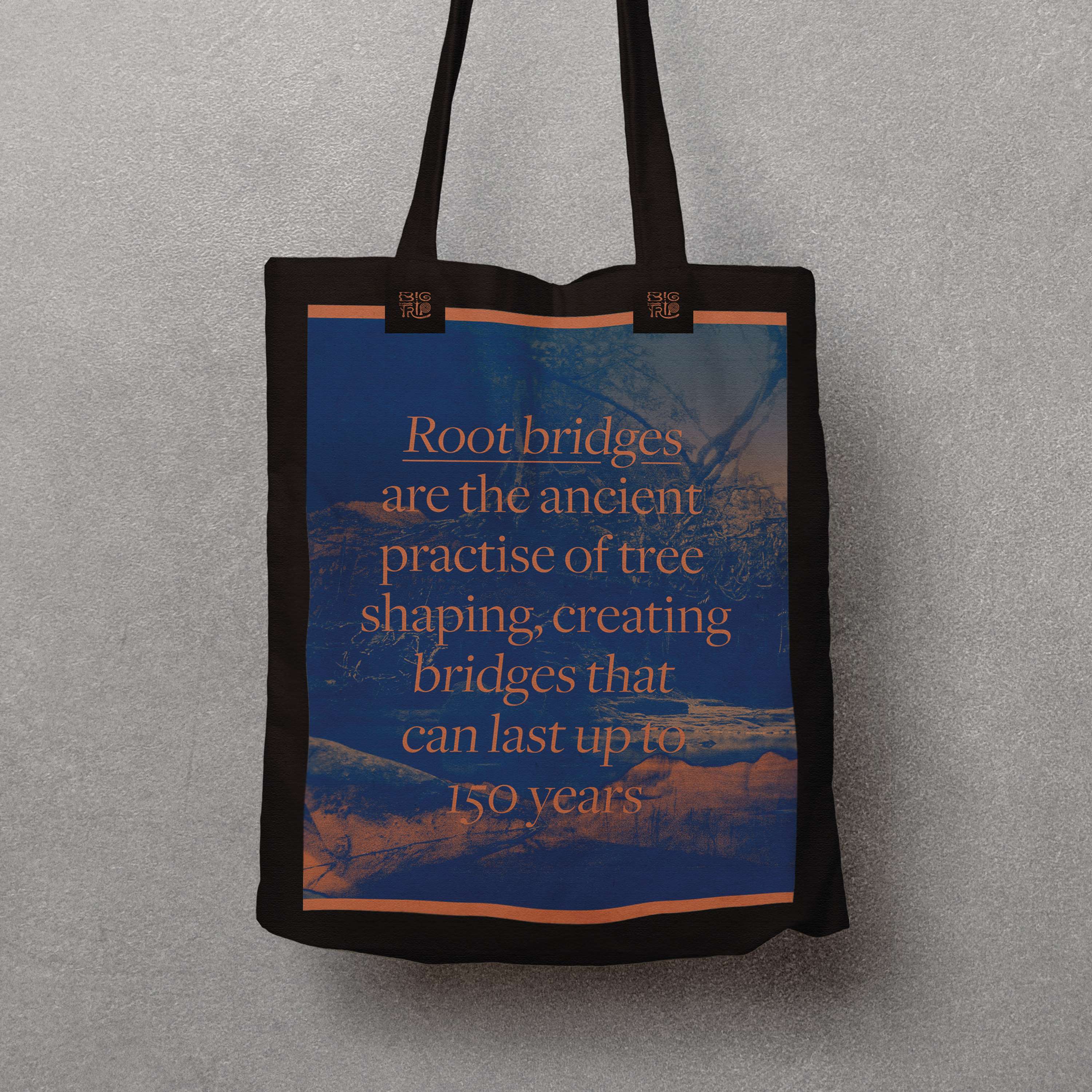 Big Trip Indigenous Branding Project by Toni Giddings