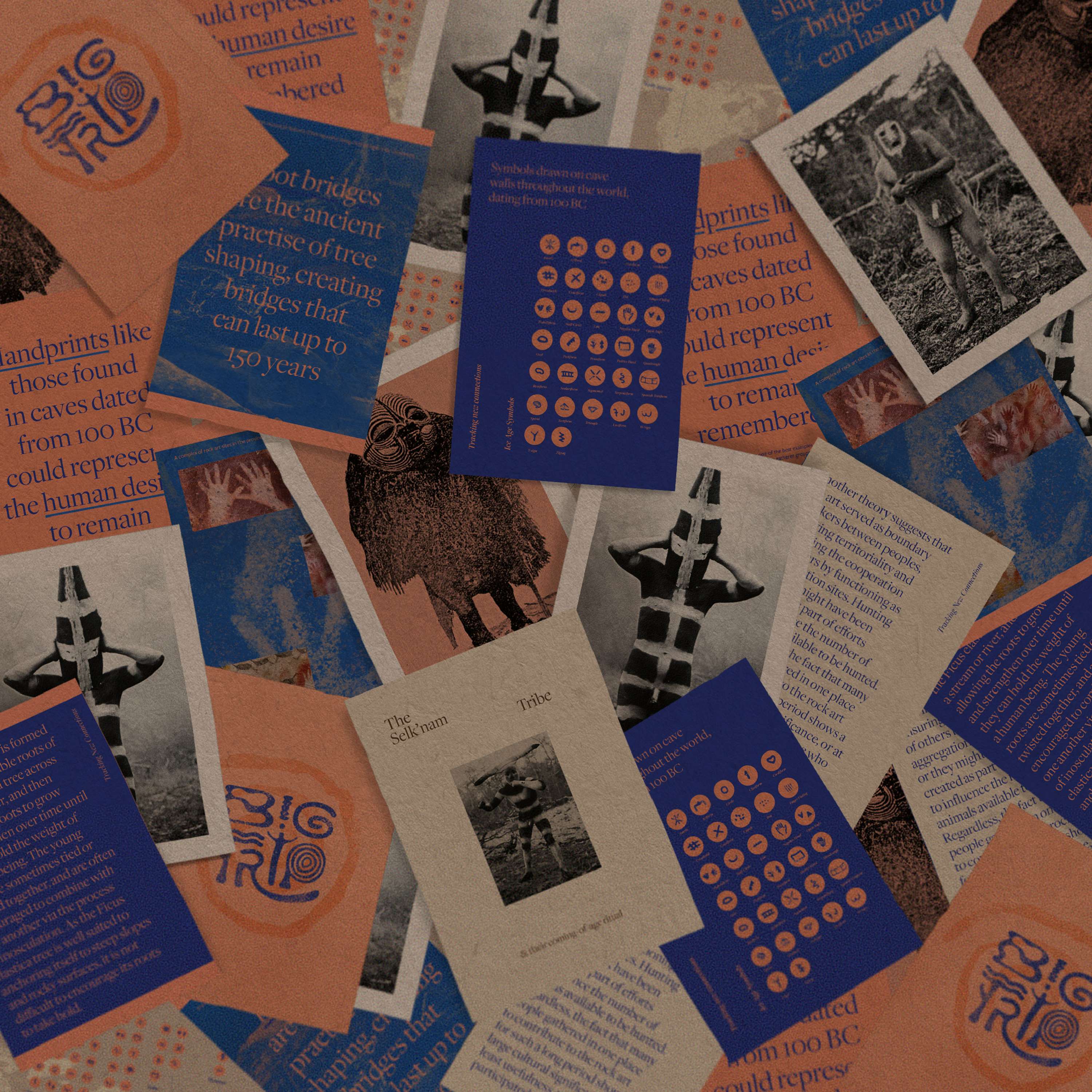 Big Trip Indigenous Branding Project by Toni Giddings