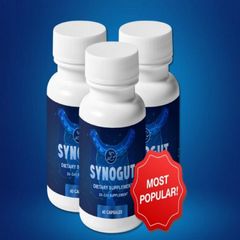 Synogut website