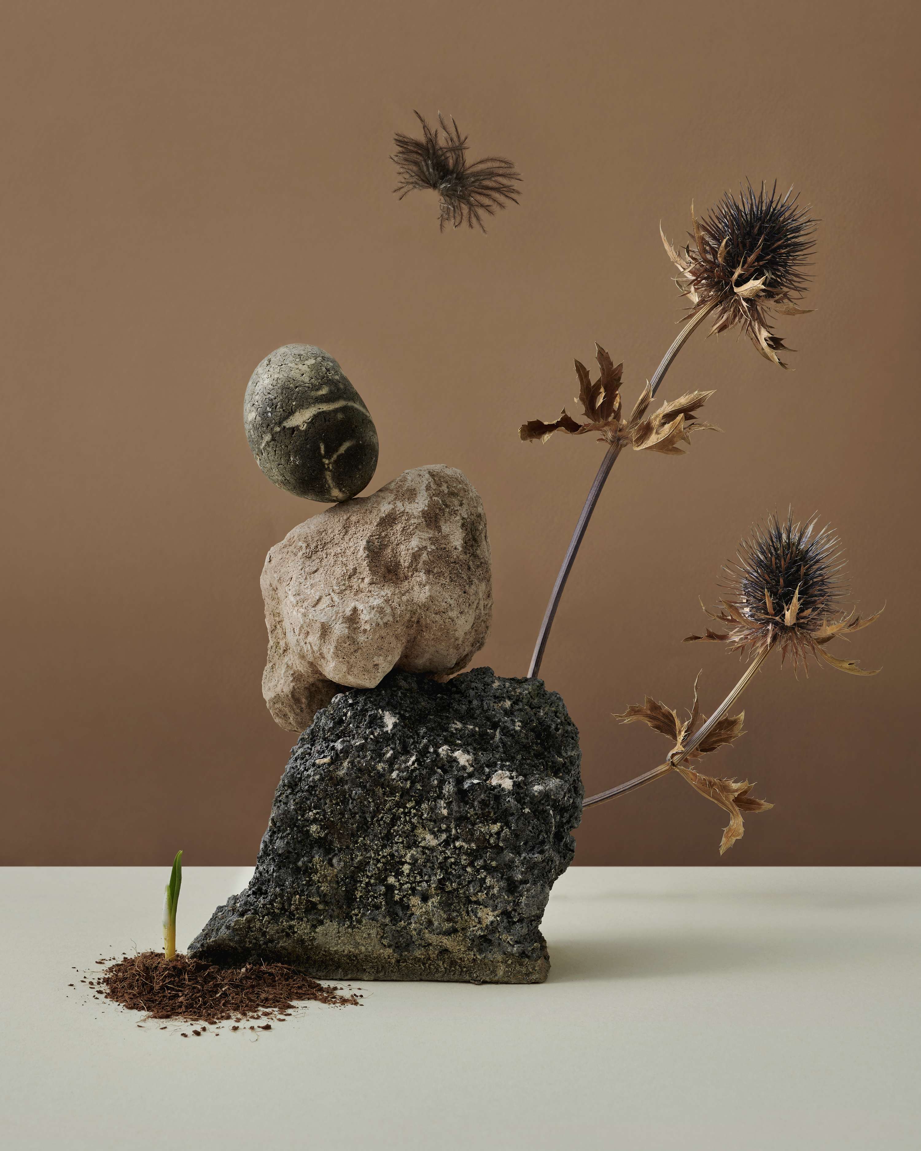 Spring Totams by Nick Dunne